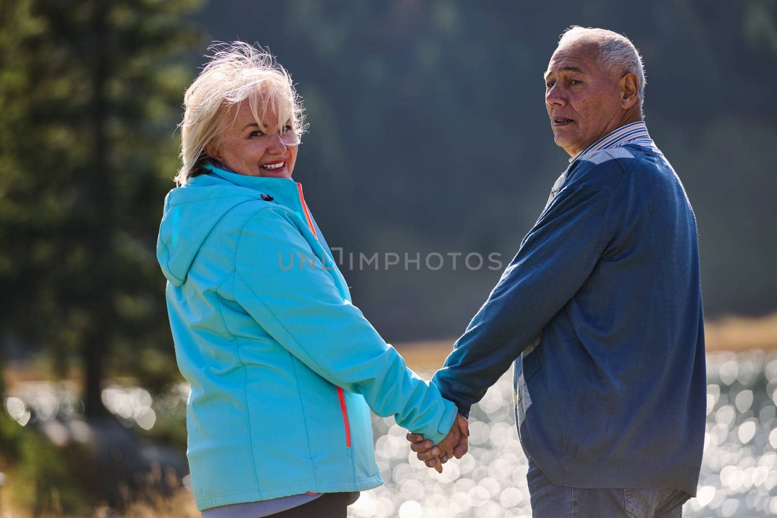 Elderly couple strolling through the breathtaking beauty of nature, maintaining their vitality and serenity, embracing the joys of a health-conscious and harmonious lifestyle.