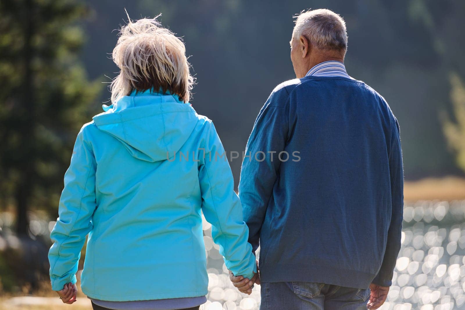 Elderly couple strolling through the breathtaking beauty of nature, maintaining their vitality and serenity, embracing the joys of a health-conscious and harmonious lifestyle by dotshock