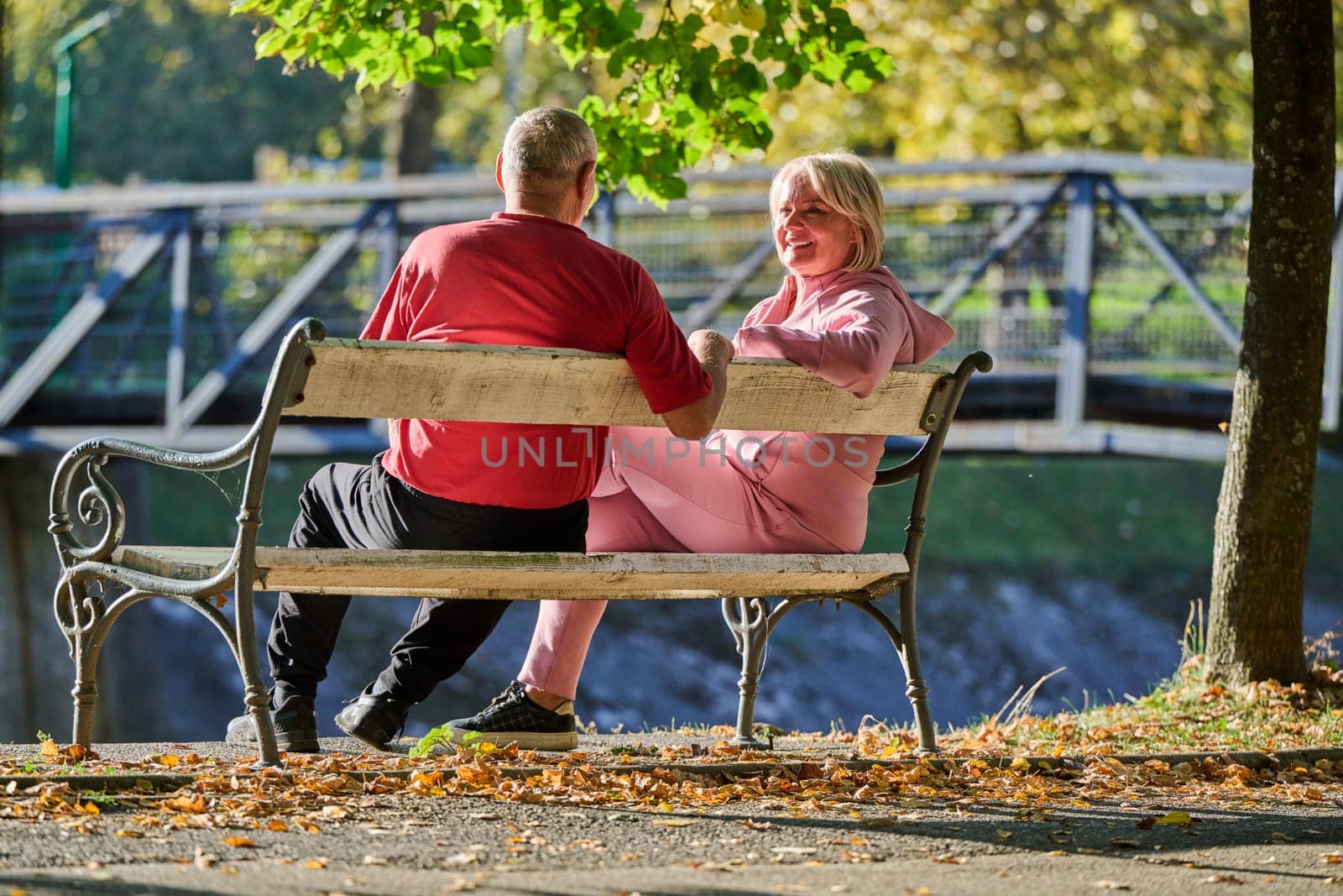 Elderly couple finding solace and joy as they rest on a park bench, engaged in heartfelt conversation, following a rejuvenating strol a testament to the enduring companionship and serene connection that accompanies the golden years by dotshock