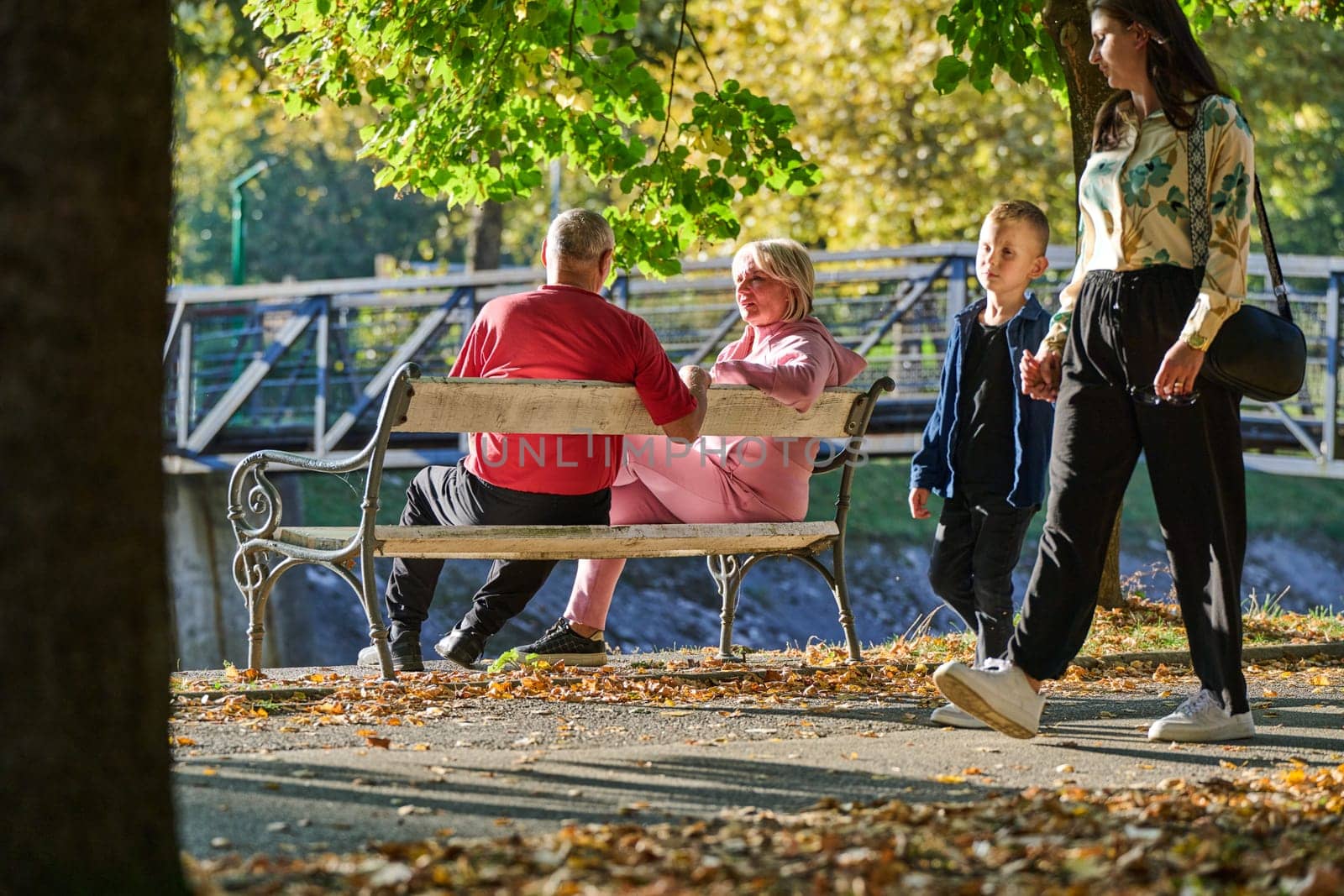 Elderly couple finding solace and joy as they rest on a park bench, engaged in heartfelt conversation, following a rejuvenating strol a testament to the enduring companionship and serene connection that accompanies the golden years.