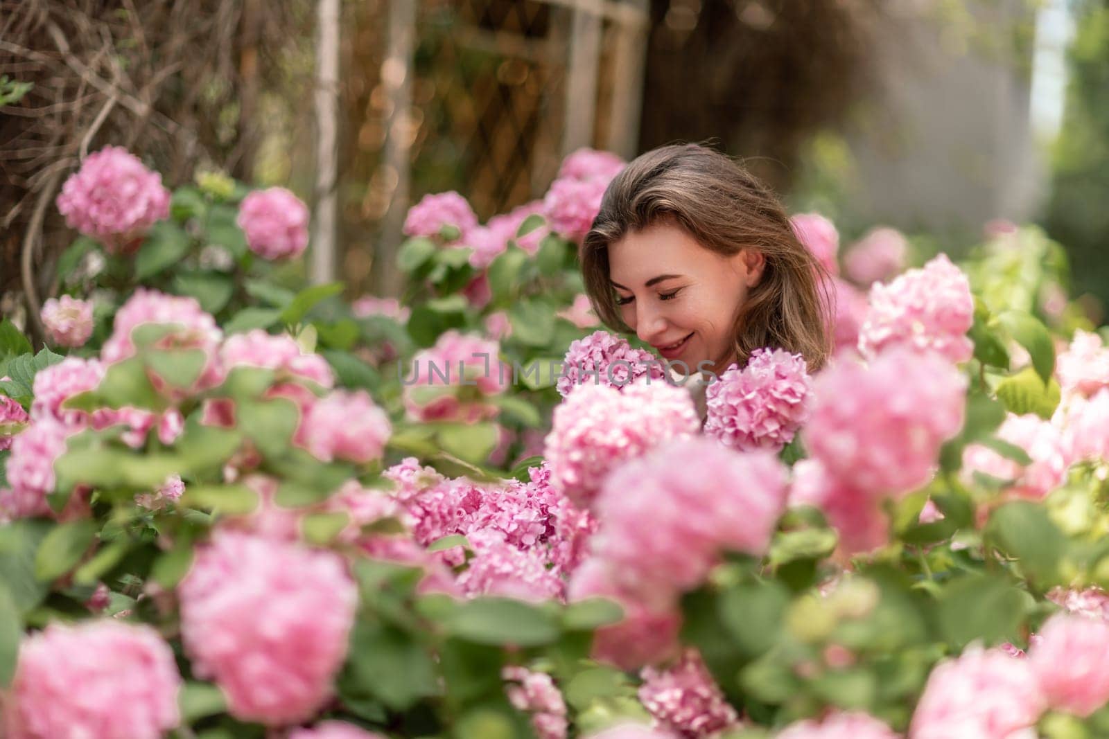 Hydrangeas Happy woman in pink dress amid hydrangeas. Large pink hydrangea caps surround woman. Sunny outdoor setting. Showcasing happy woman amid hydrangea bloom. by Matiunina