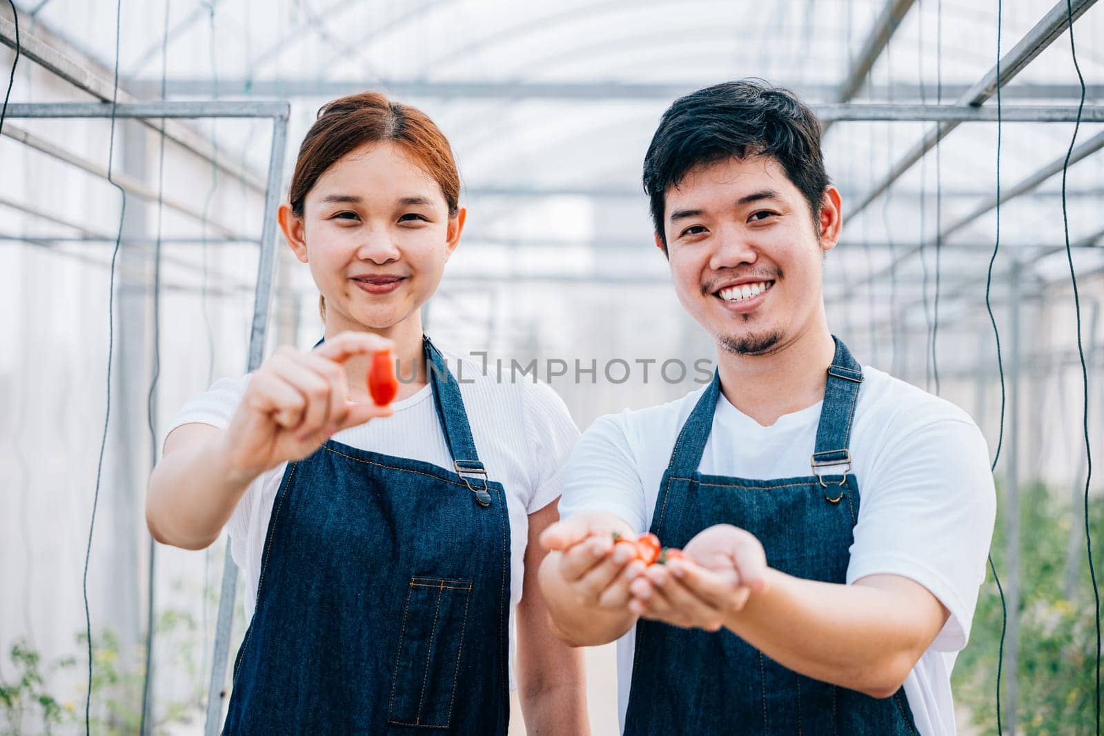 A radiant Asian couple farmers in a greenhouse proudly holding organic tomatoes and vegetables by Sorapop