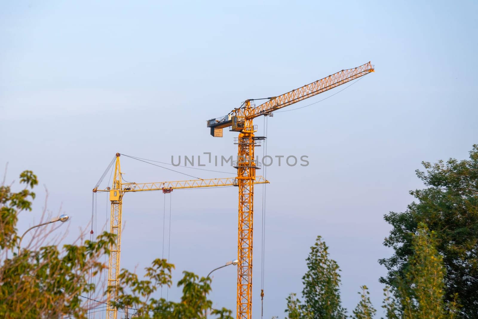 Construction crane takes a pause, captivatingly silhouetted in the midst of a lush forest.