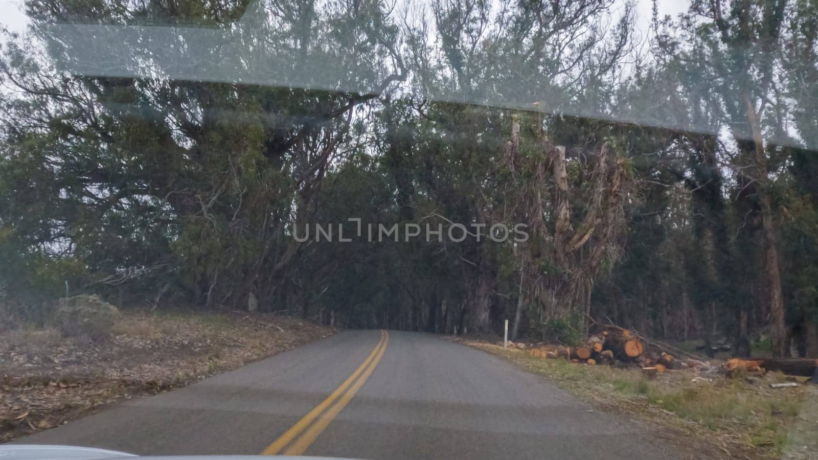 In this serene winter scene, a vehicle carefully makes its way along Los Osos Valley Road and Pecho Valley Road within Montana de Oro State Park.