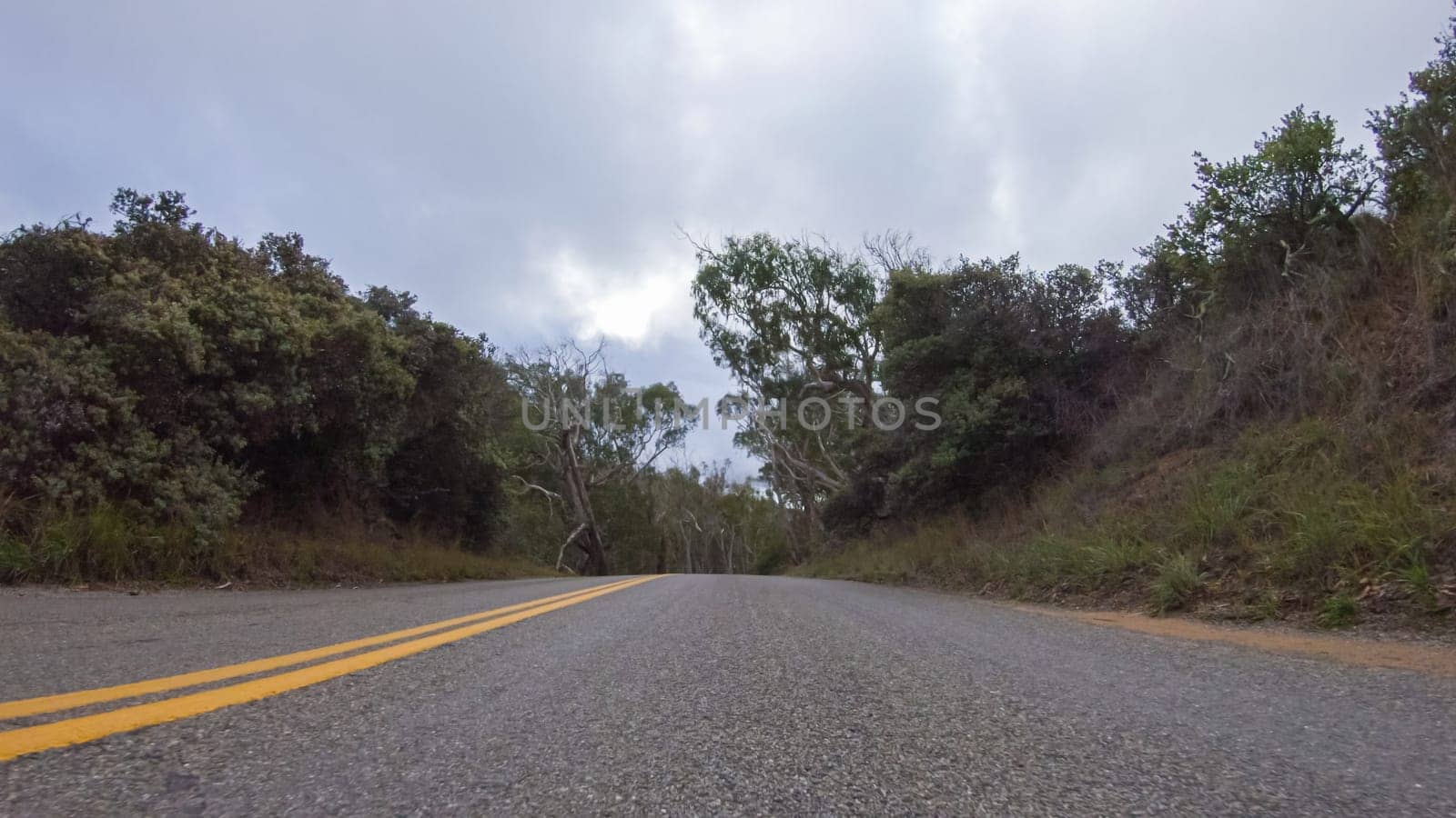 In this serene winter scene, a vehicle carefully makes its way along Los Osos Valley Road and Pecho Valley Road within Montana de Oro State Park.