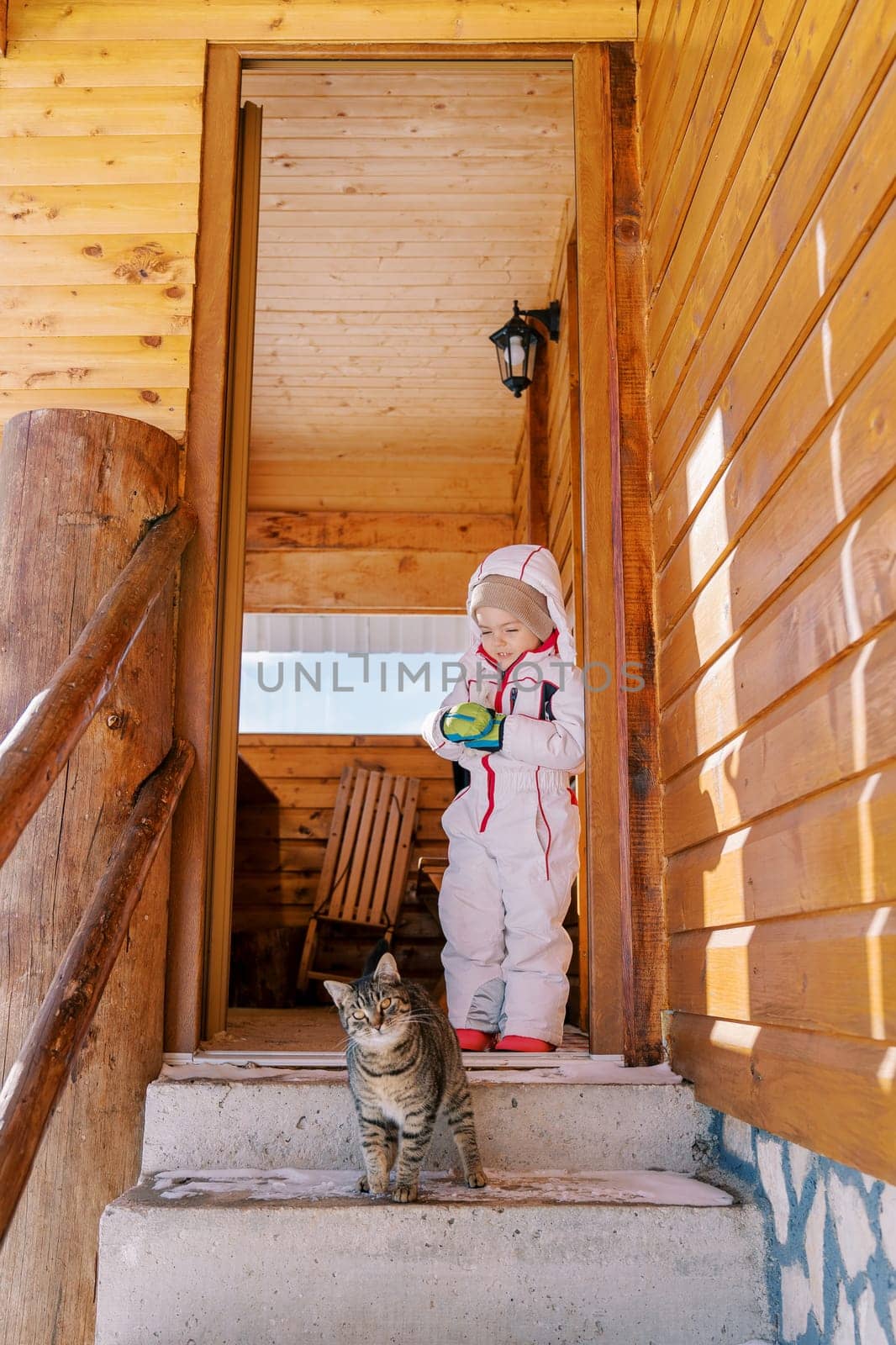 Little girl stands on the threshold of a wooden cottage and looks at a striped cat on the steps by Nadtochiy