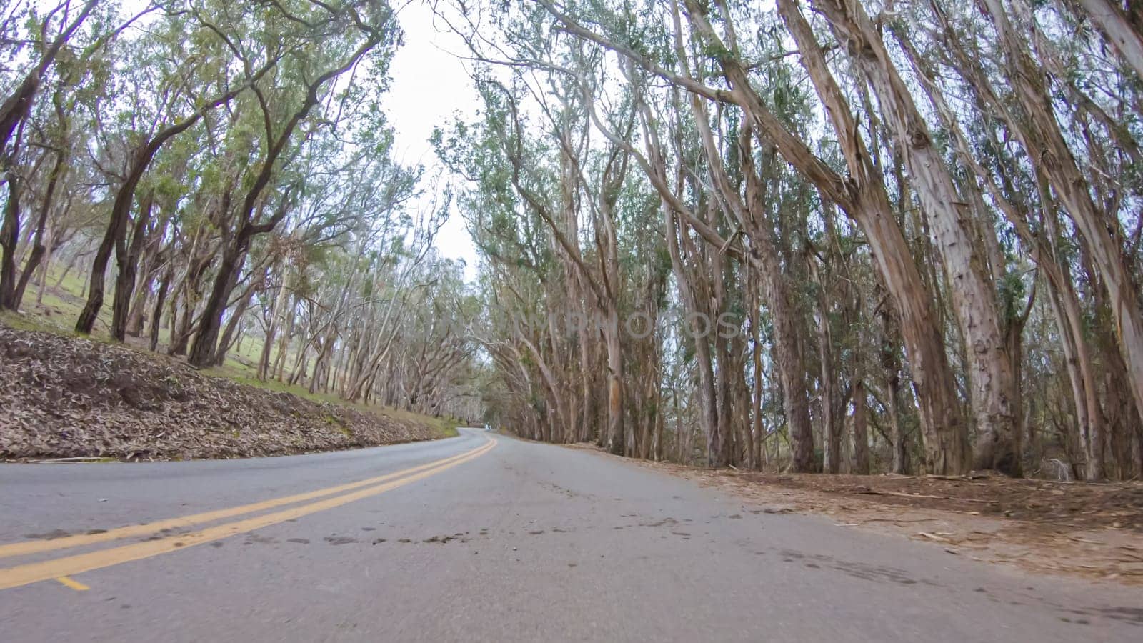 In this serene winter scene, a vehicle carefully makes its way along Los Osos Valley Road and Pecho Valley Road within Montana de Oro State Park.