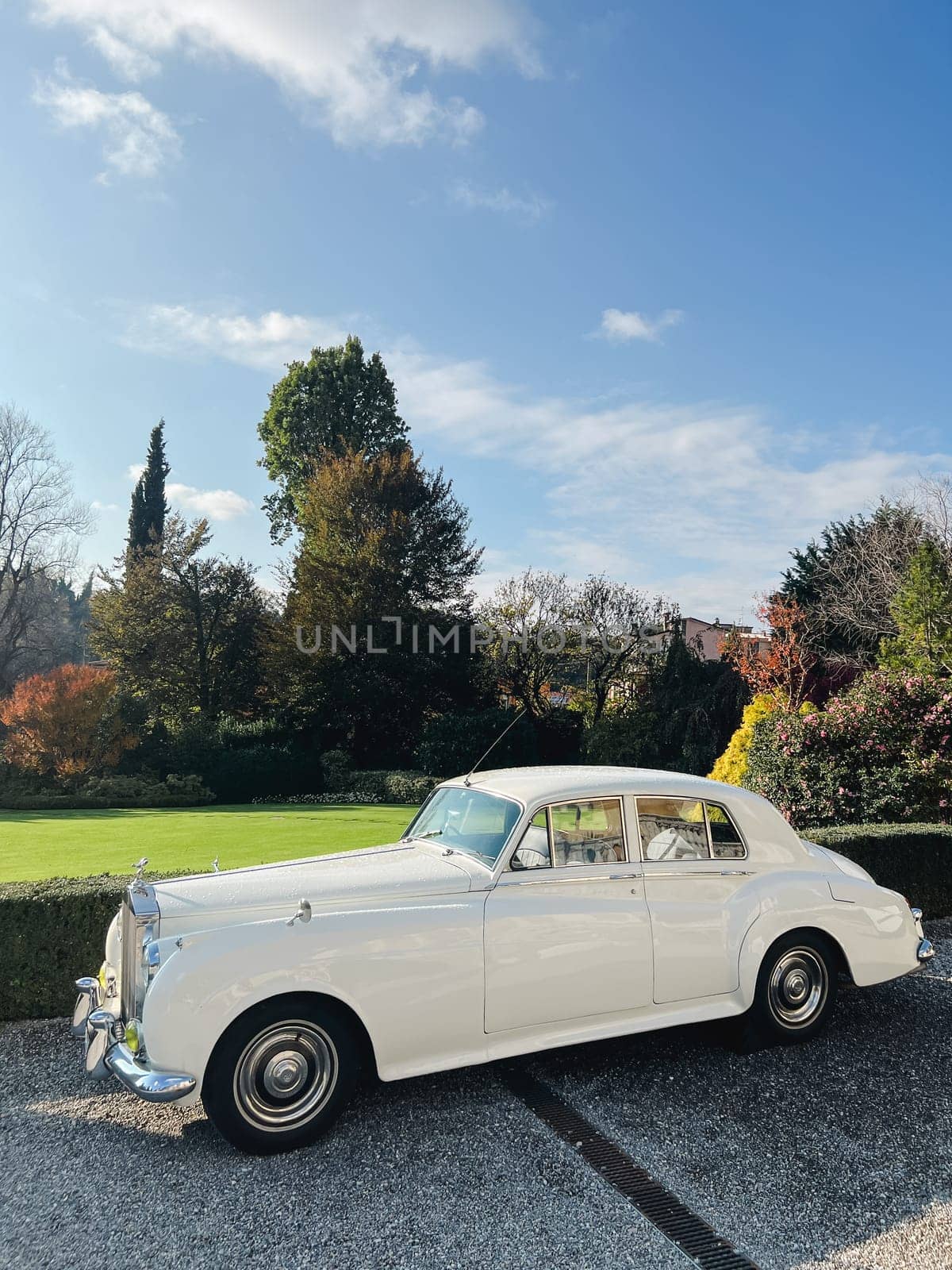 White Rolls-Royce Silver Cloud stands on a gravel path near green bushes in the park. High quality photo