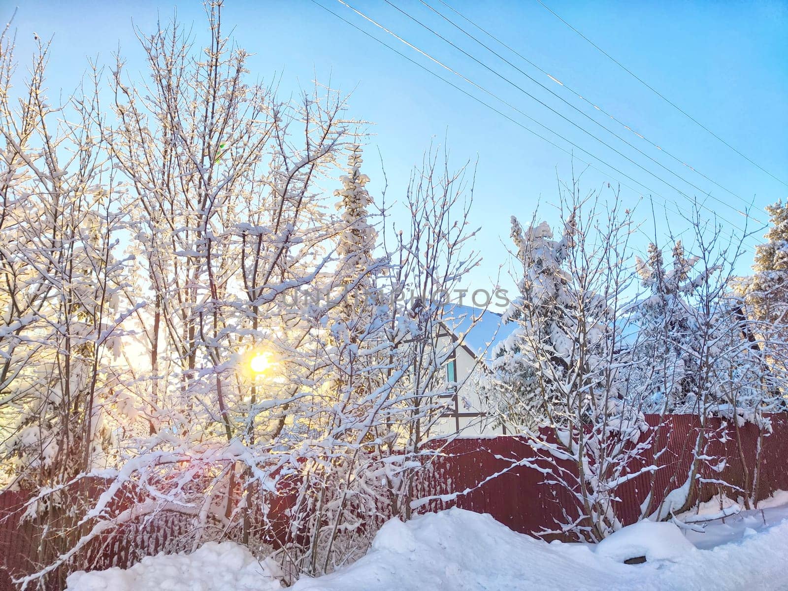 Snowy winter landscape of Lapland. Village house and tree branch covered with snow in sunny morning or evening