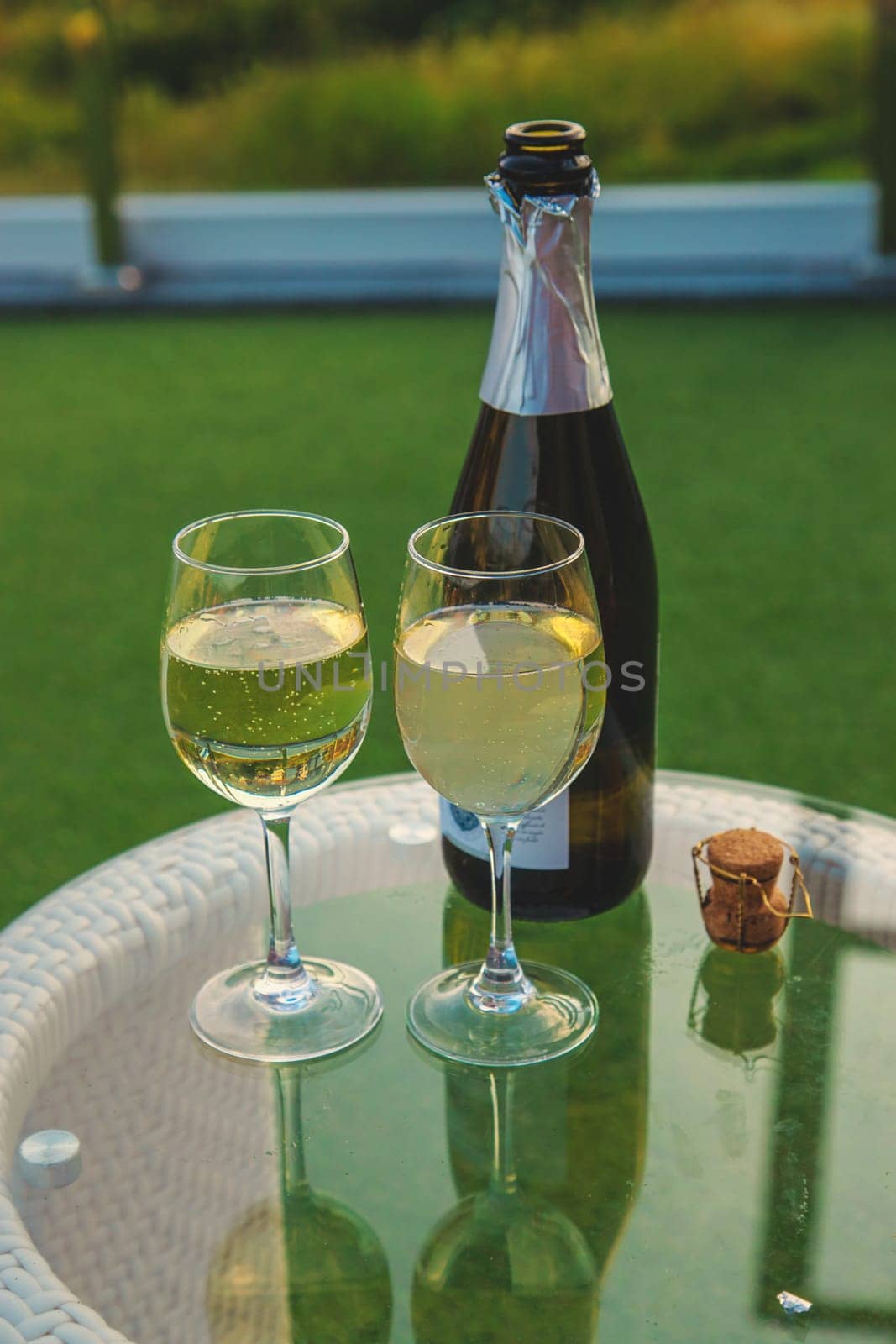 Glasses of wine against the background of mountains. Selective focus. Nature.