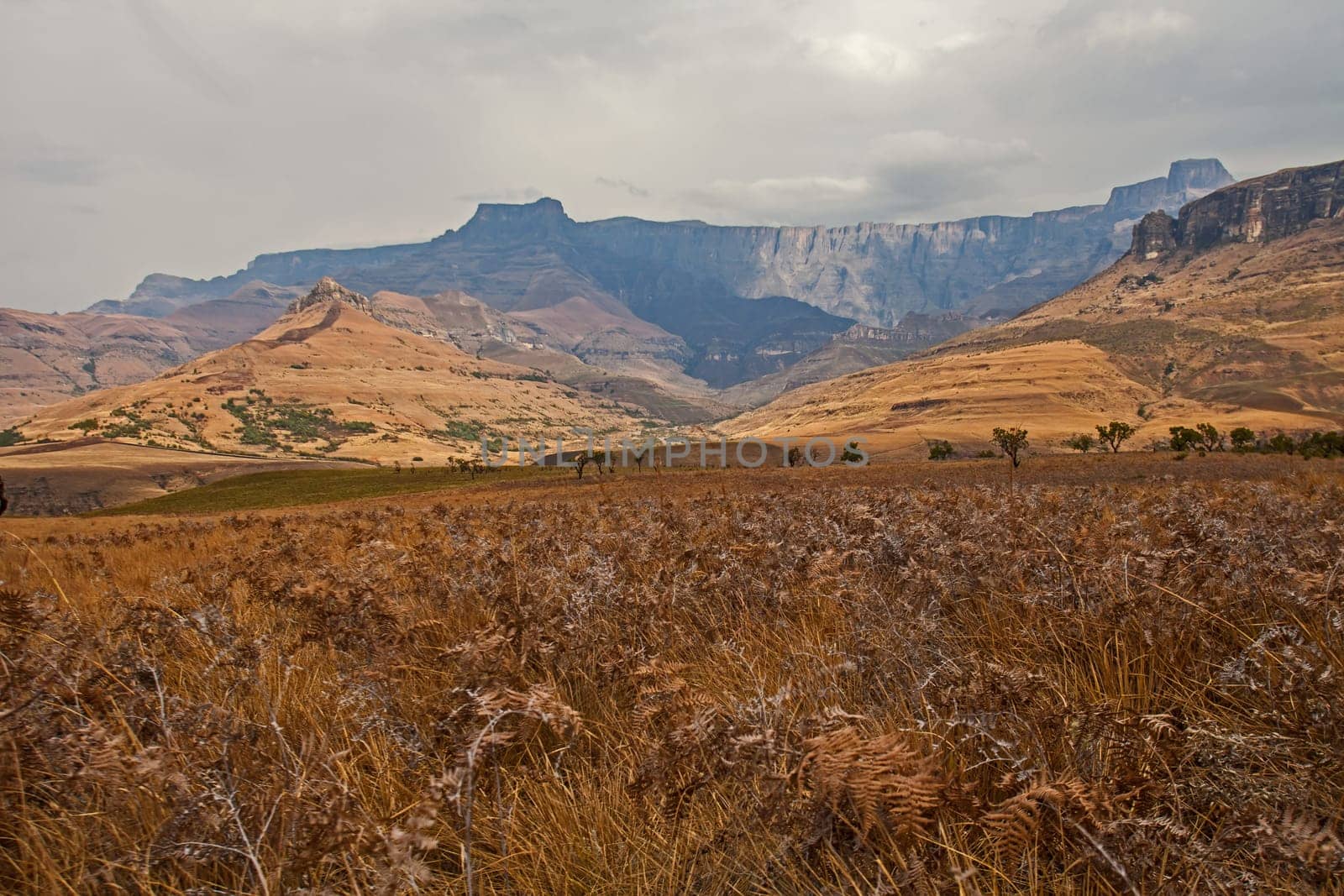 Drakensberg Mountain scene 15593 by kobus_peche