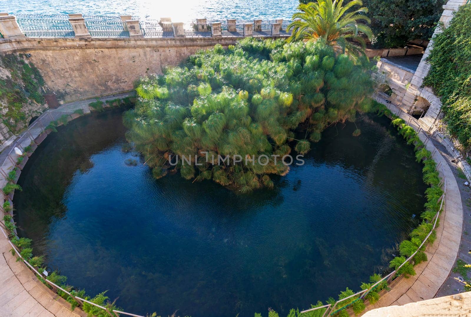 Fountain of Arethusa on Ortygia island, a natural spring of fresh water in the place where the nymph Arethusa hid according to Greek mythology