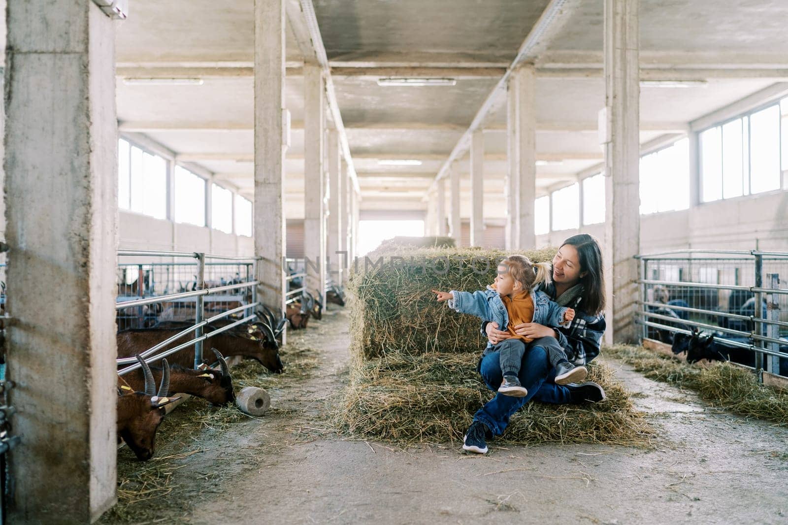 Little girl sits on her mother lap on a haystack and points her finger at the goats eating hay by Nadtochiy