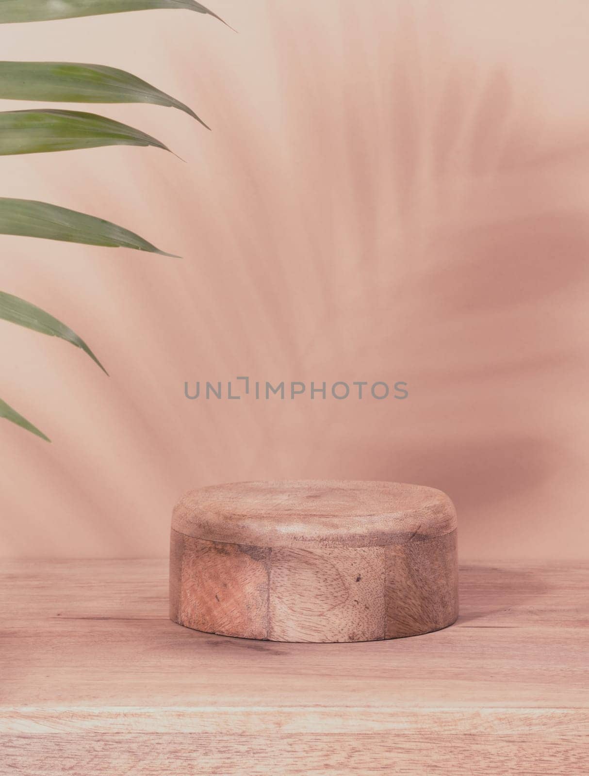 Round wooden platform, shadow from a palm leaf on a brown background. by ndanko