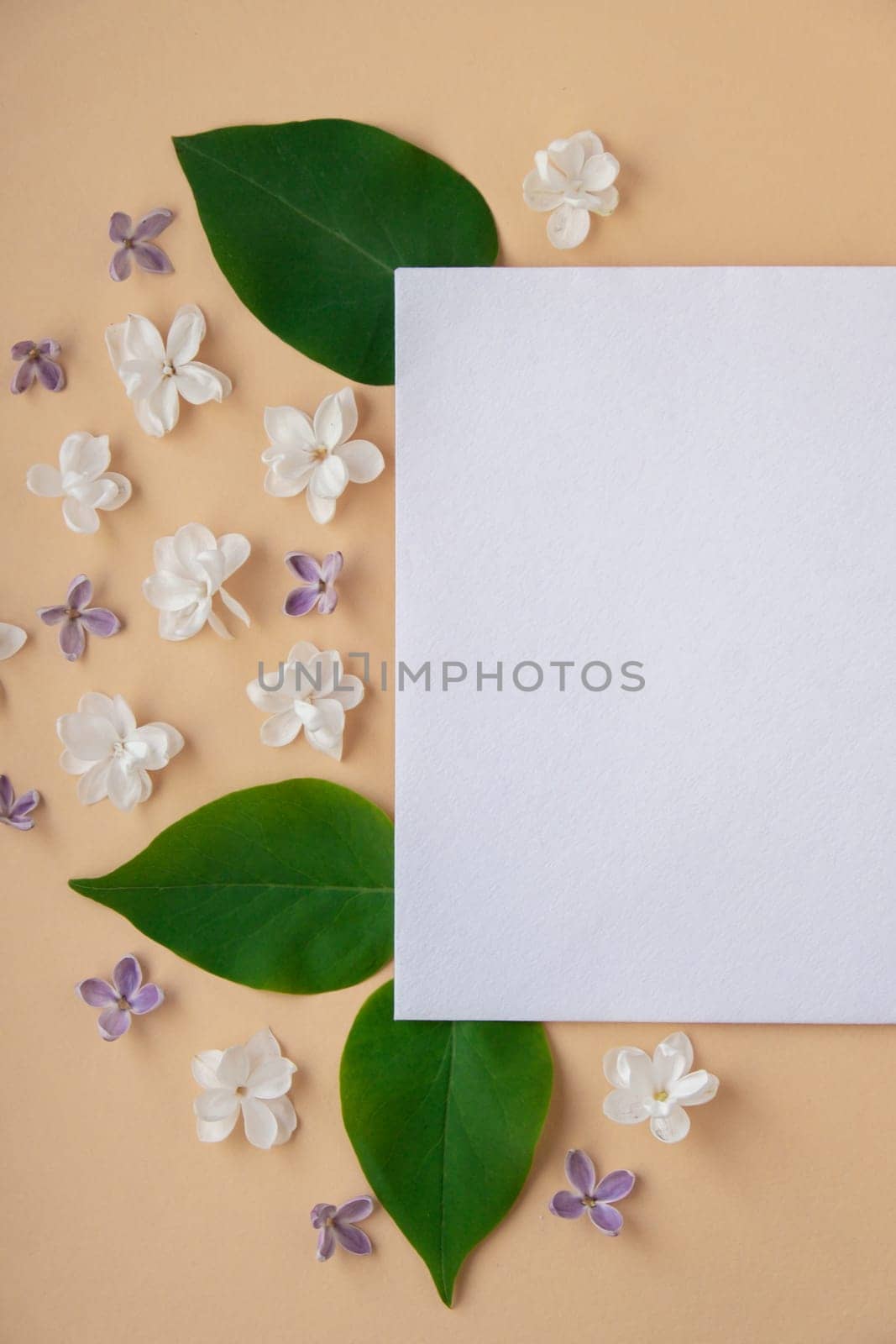 Composition with empty envelope and beautiful spring lilac flowers on beige background. Mockup card invitation greeting card postcard copy space template blank. Branches of lilac blooming bouquet.