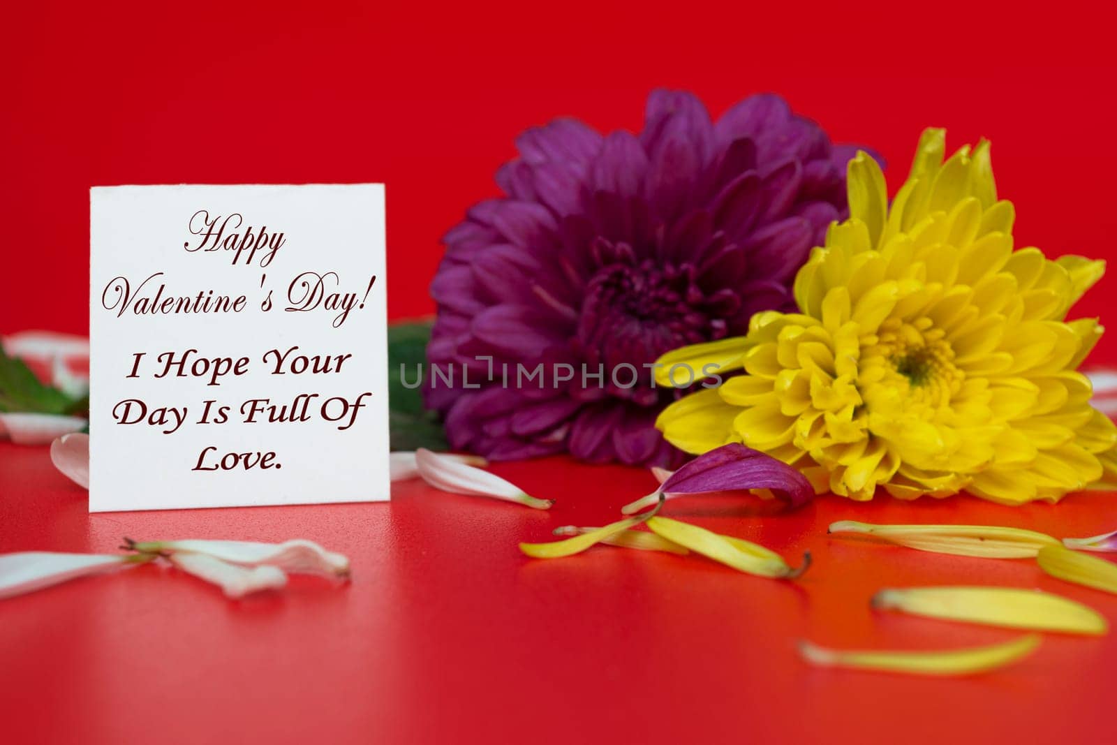 Happy Valentine's Day Greeting Card with flowers on red background.