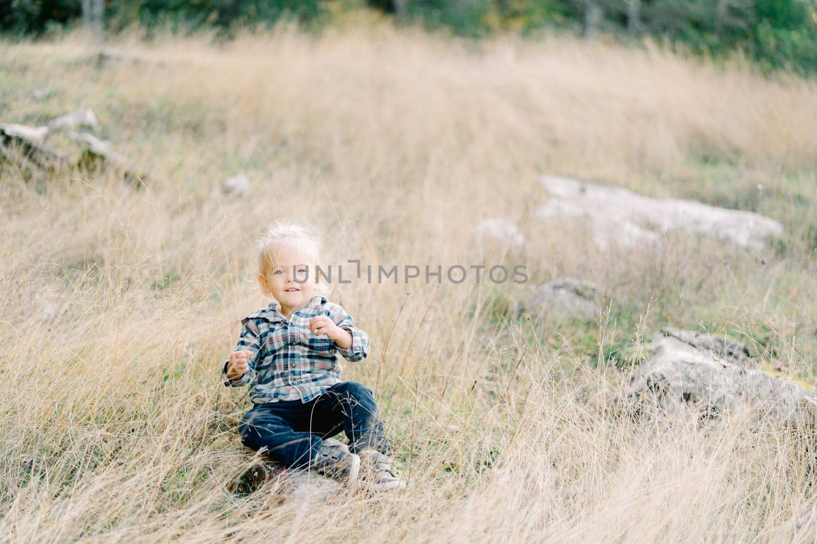 Little girl sits on the lawn and plays with a blade of grass. High quality photo