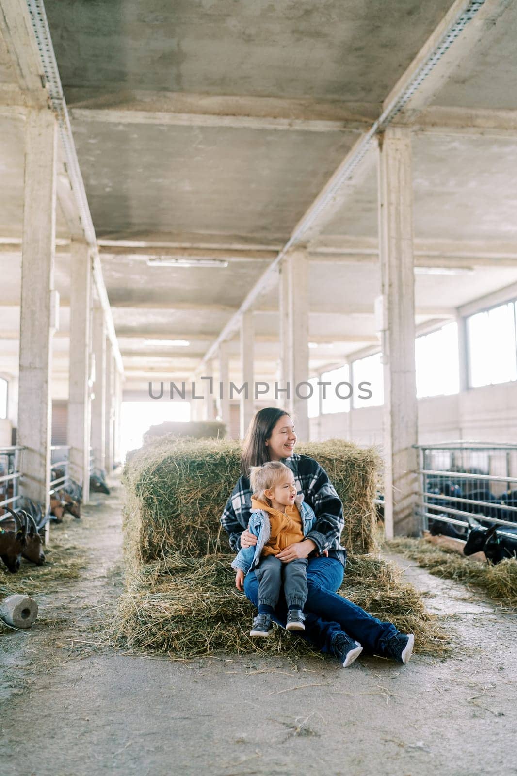Laughing mother with a little girl on her knees sits on a haystack and looks at the eating goats in the paddocks. High quality photo