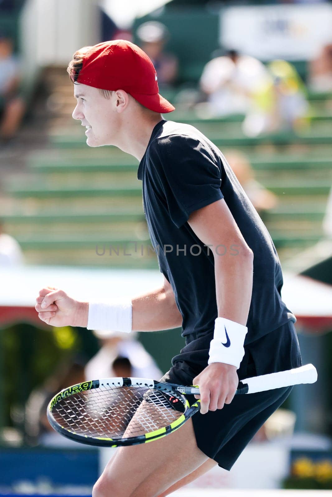 2024 Kooyong Classic - Day 1 by FiledIMAGE