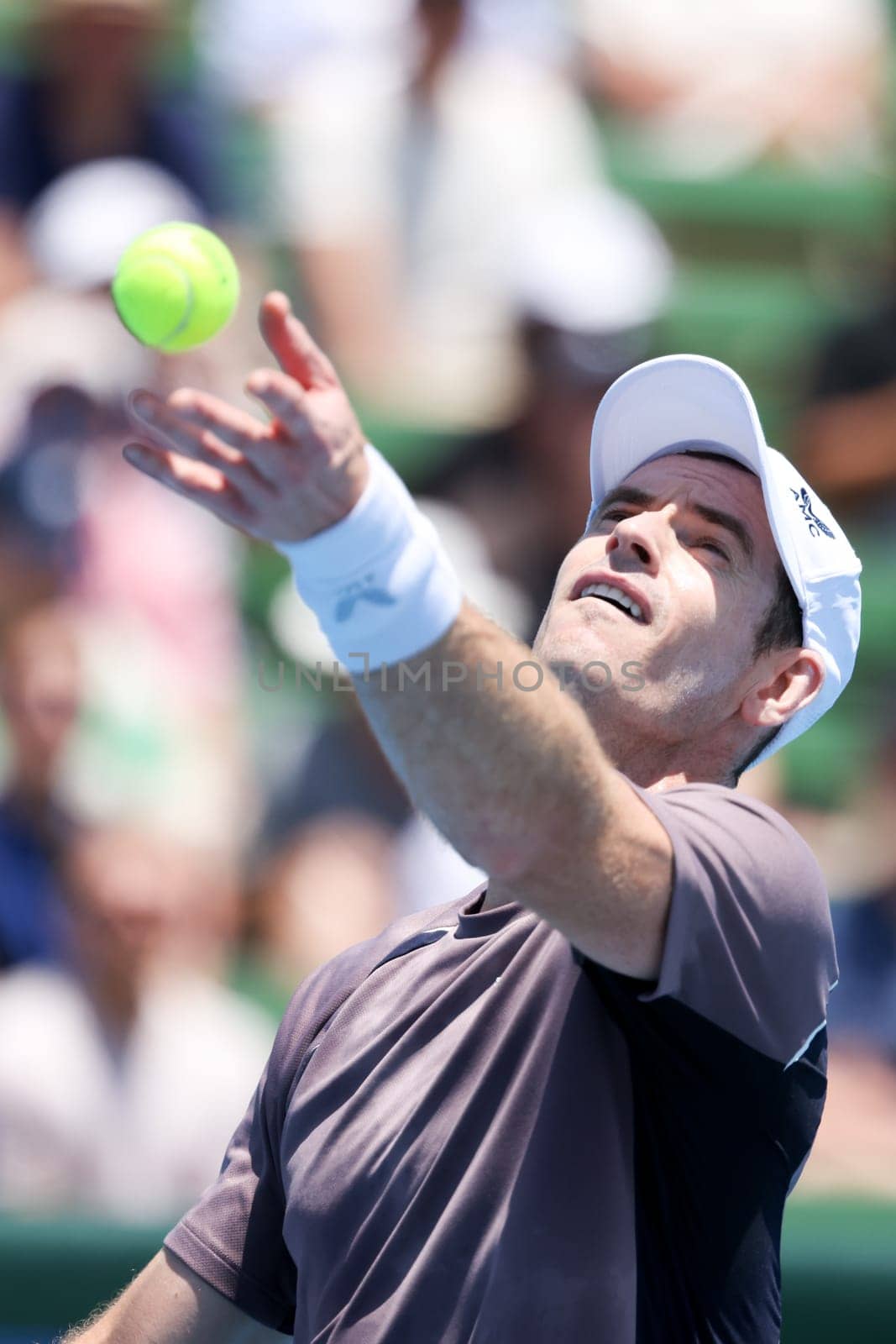 MELBOURNE, AUSTRALIA - JANUARY 11: Sir Andy Murray of Great Britian in action against Marin Cilic of Croatia during day one of the 2024 Kooyong Classic at Kooyong on January 11, 2024 in Melbourne, Australia.