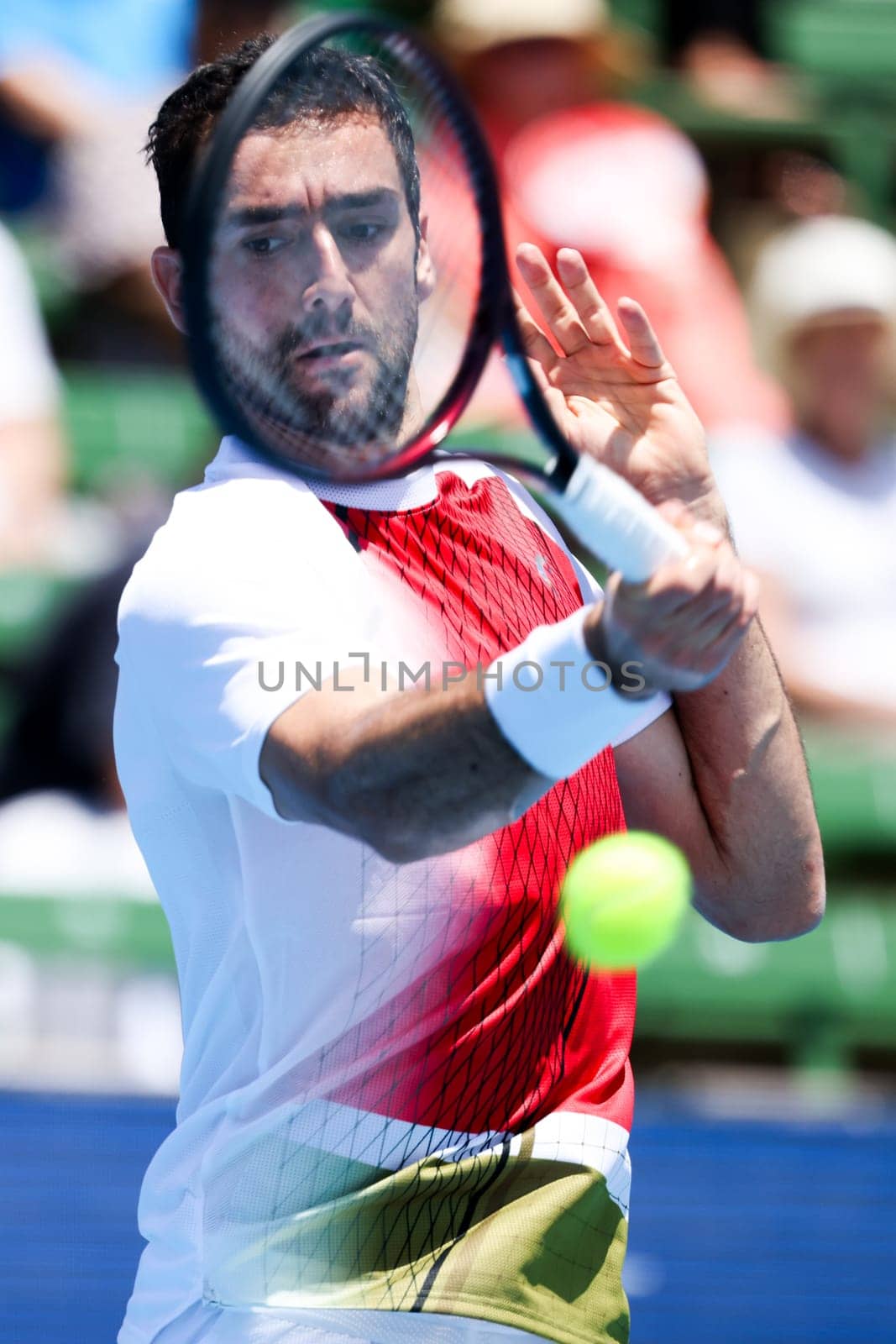 MELBOURNE, AUSTRALIA - JANUARY 11: Marin Cilic of Croatia whilst playing Sir Andy Murray of Great Britian during day one of the 2024 Kooyong Classic at Kooyong on January 11, 2024 in Melbourne, Australia.