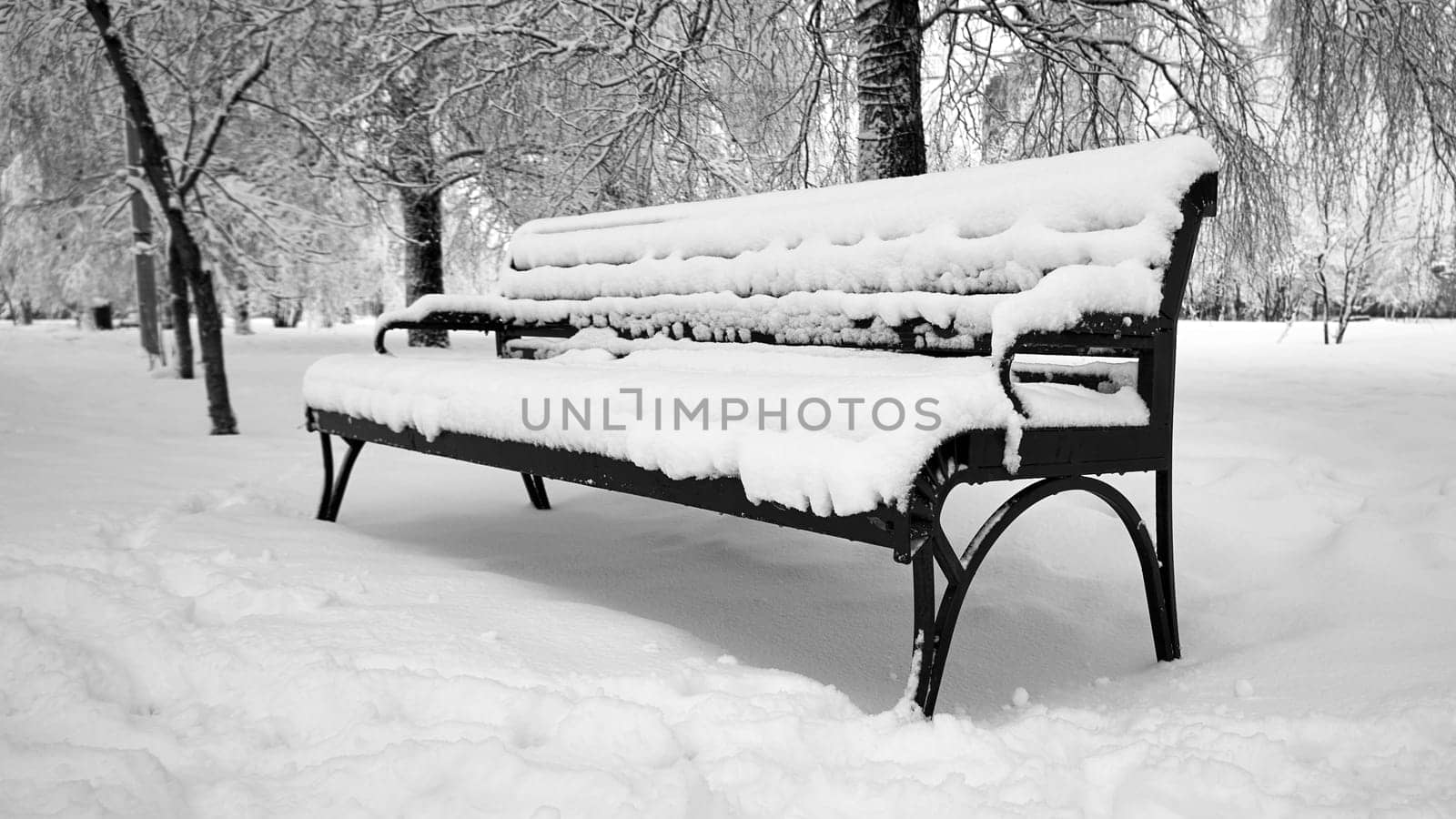 Black and white photo of a park bench covered with snow by DAndreev