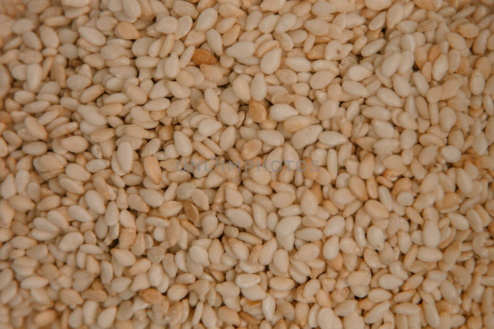 sesame seeds. Pile of white sesame seeds as background, top view.
