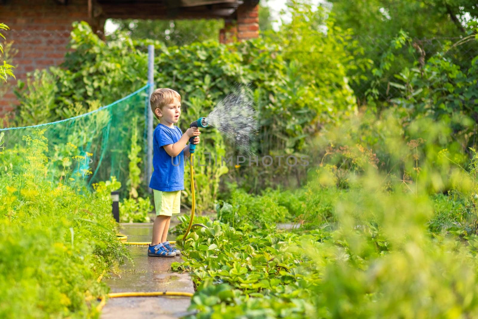Little child enjoying gardening, watering the plants with a garden hose on a sunny day.