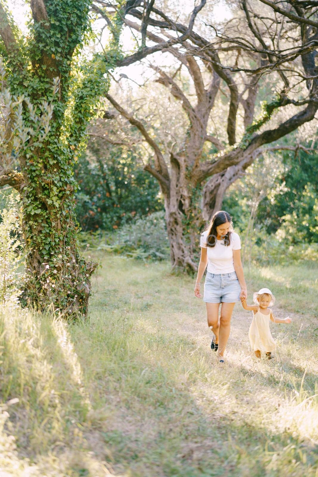Mom with a little girl holding hands walk through the olive grove by Nadtochiy