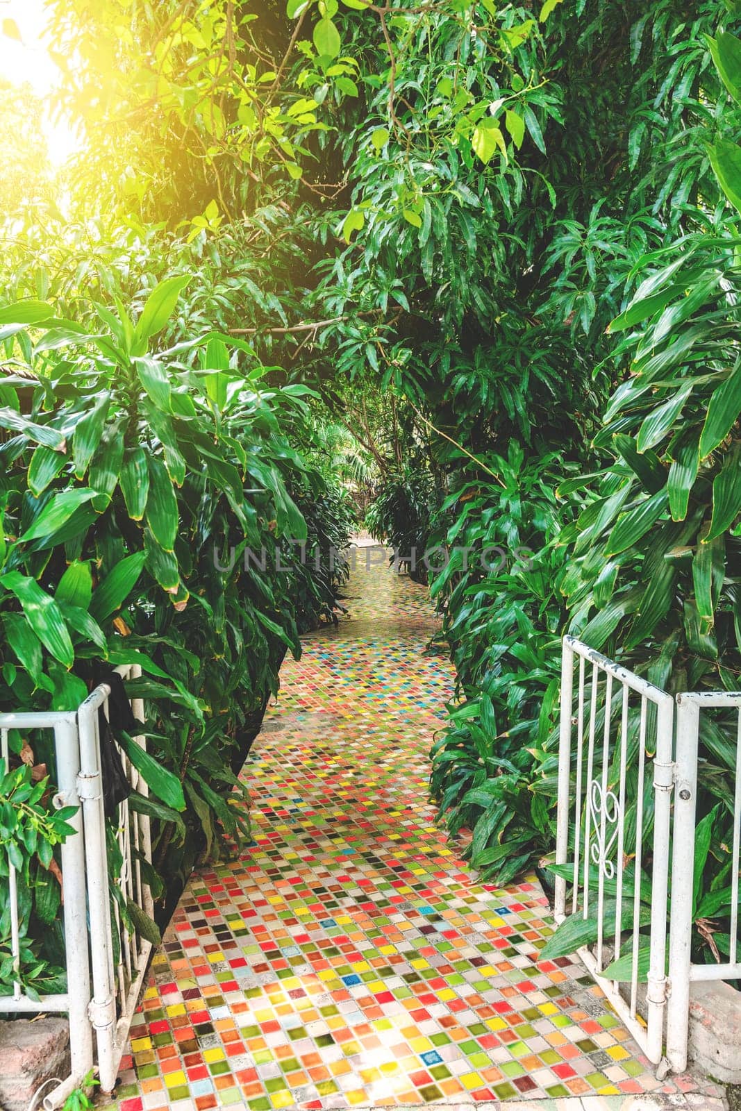 Beautiful concrete path in a home garden surrounded by plants
