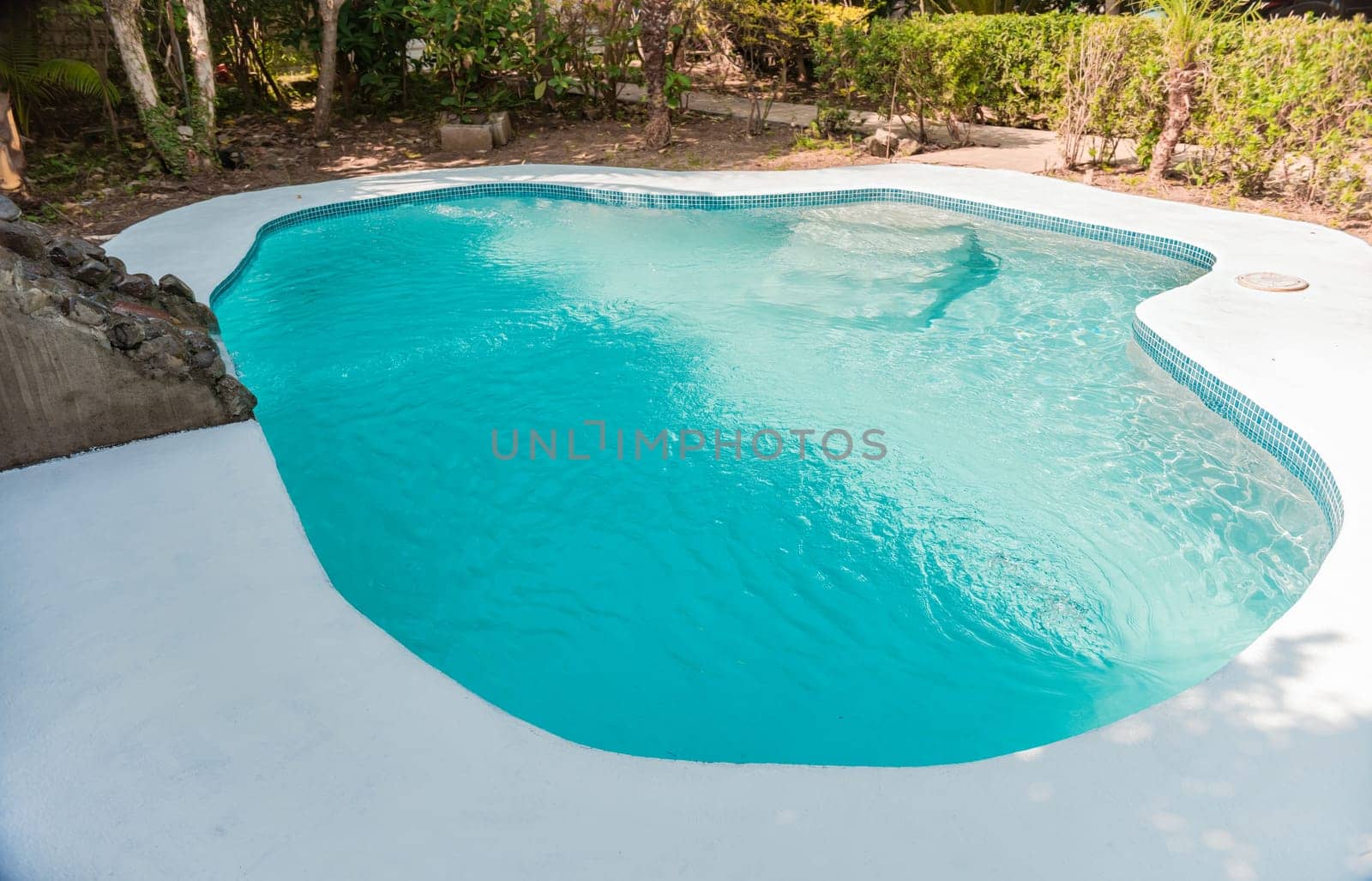 Swimming pool designs for the home. Home swimming pool maintenance concept. Homemade swimming pool in a garden, Crystal water home pool surrounded by a garden by isaiphoto