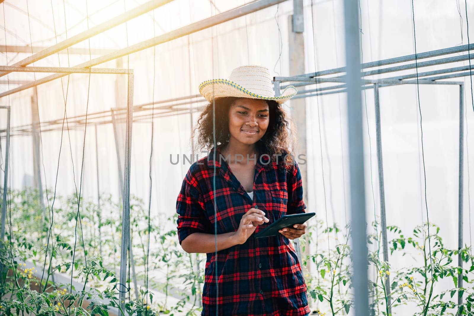 A confident woman farmer in a black shirt checks tomato leaves using her phone in a greenhouse by Sorapop