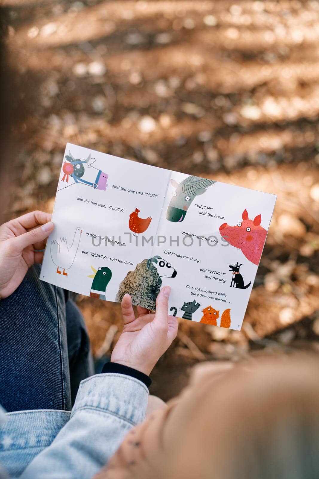 Book with colorful pictures in women hands in the park. Cropped. Faceless by Nadtochiy