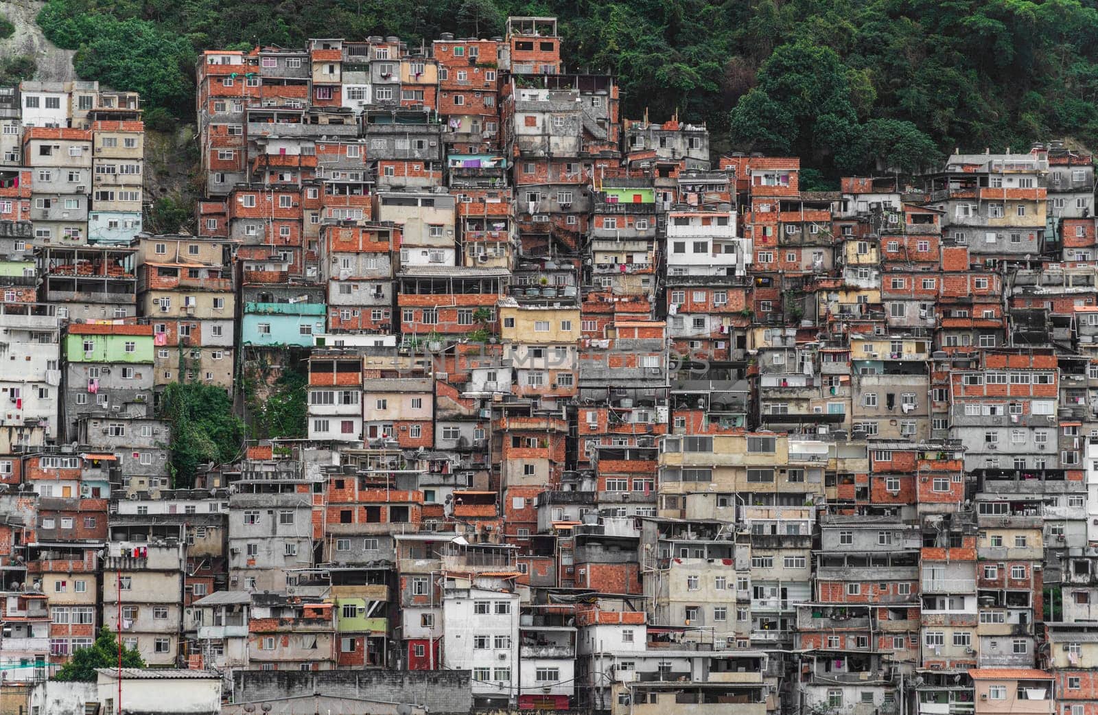 A bustling favela descends sharply into the jungle, displaying a chaotic array of homes.