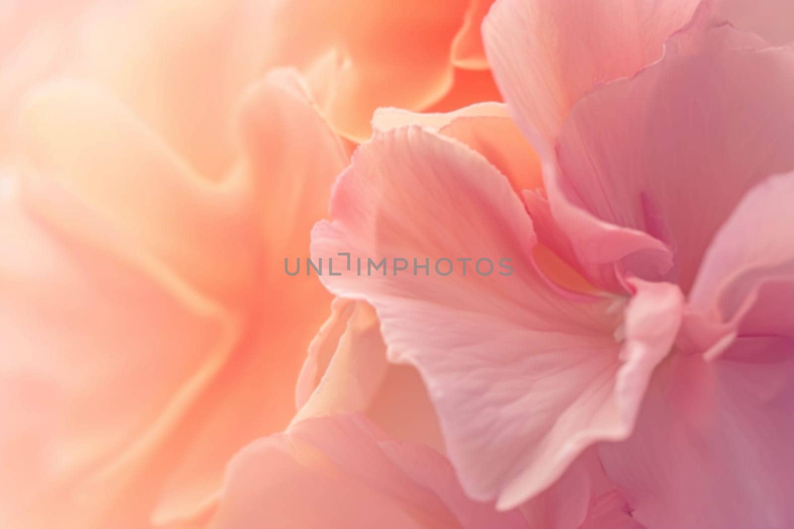 Gradient background with flowers in pastel colors. Spring theme. Peaceful versatile backdrop for any creative project or design. Pink, peach, soft hues. Bloom, nature. Generative AI