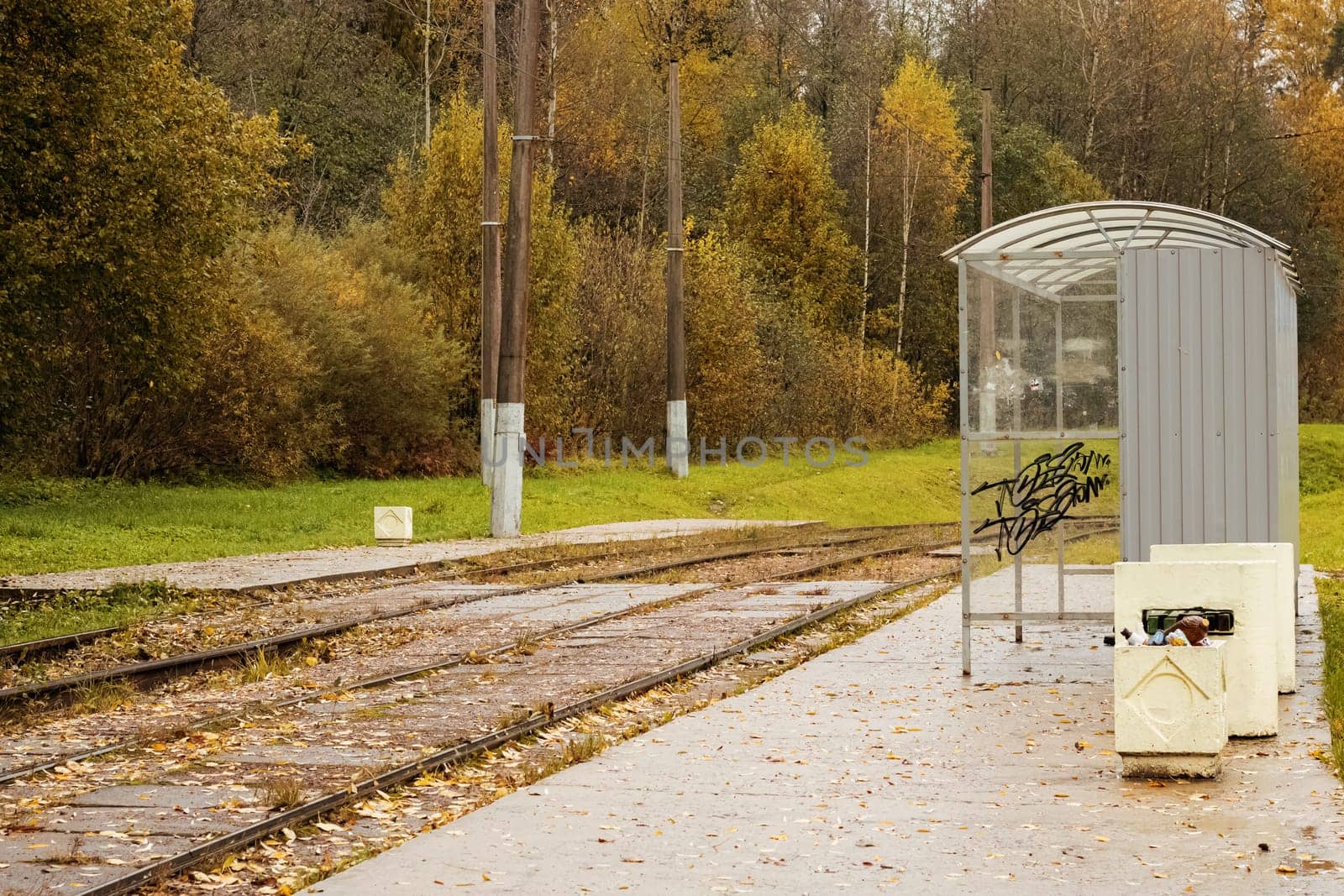 Tram rails and stop station in the autumn forest