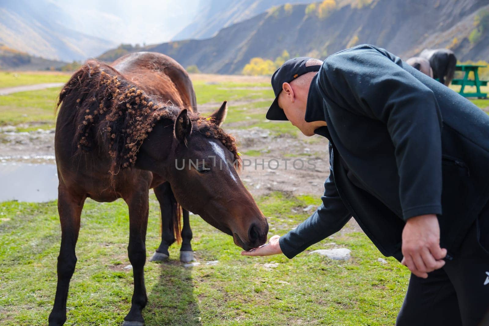 Palm Feeding: Man and Wild Horse in the Mountains by Yurich32