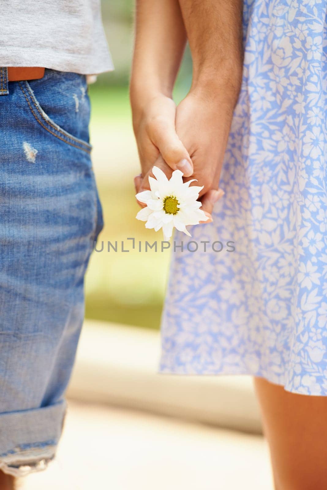 Holding hands, flower or closeup of couple on outdoor date for support, care or love in nature together. Walking, romantic man or woman with pride on holiday vacation for fun bond, travel or wellness by YuriArcurs