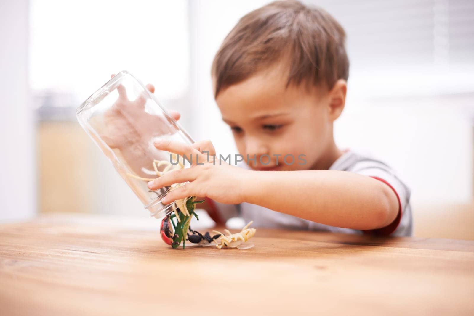 Child, toys and insect or development play for growth curiosity, education or bug jar. Kid, animals and game or learning kindergarten for teaching discovery or creativity games, coordination or skill.