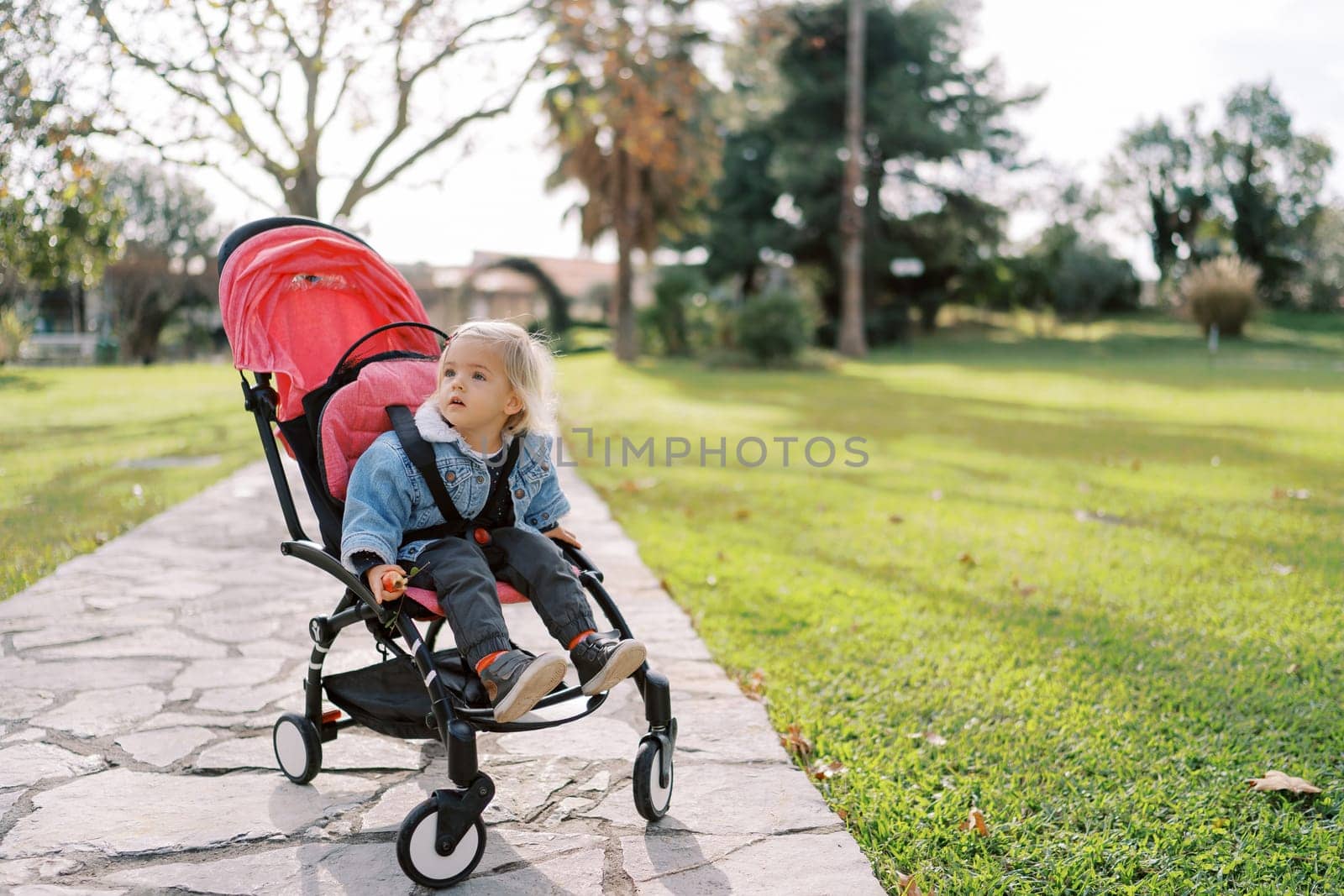 Little girl sits in a stroller on a path in the park and looks away by Nadtochiy