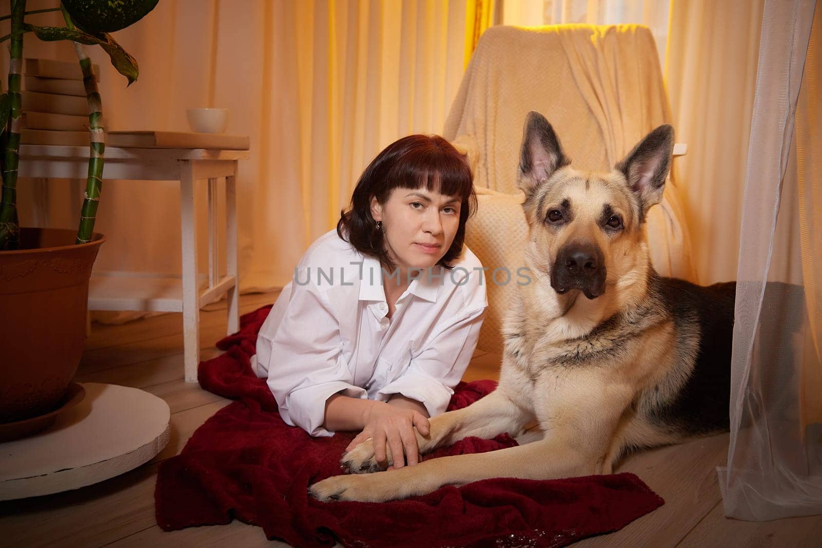 Adult mature woman with big shepherd dog in white shirt. Room with girl and calm cozy evening atmosphere with transparent curtains and soft warm light of lamps. Concept of love for animals and pets by keleny