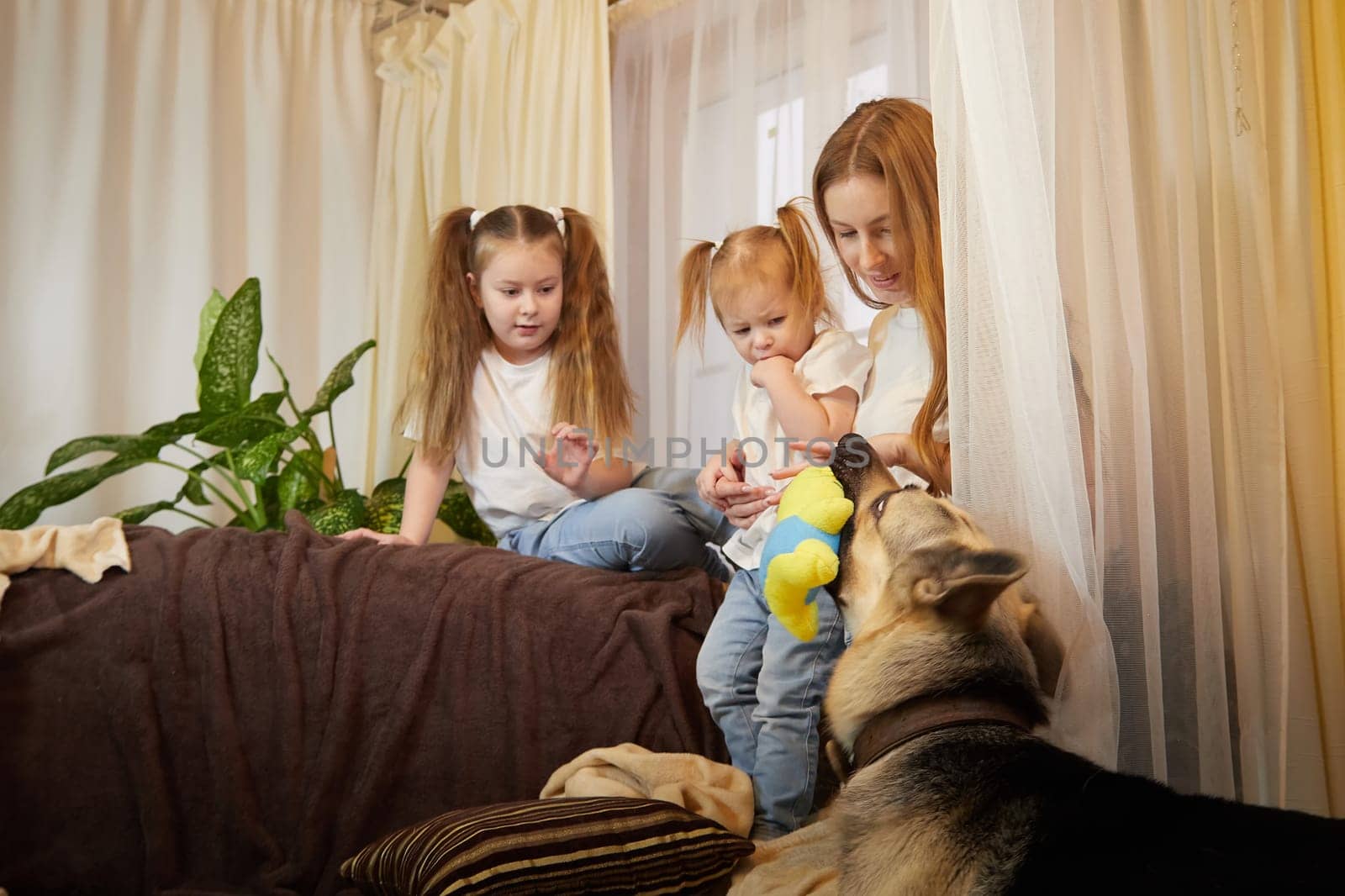 Loving family with mother, daughter sisters and big dog in living room. Woman mom, small child girl, female teenager who is afraid of a big pet by keleny