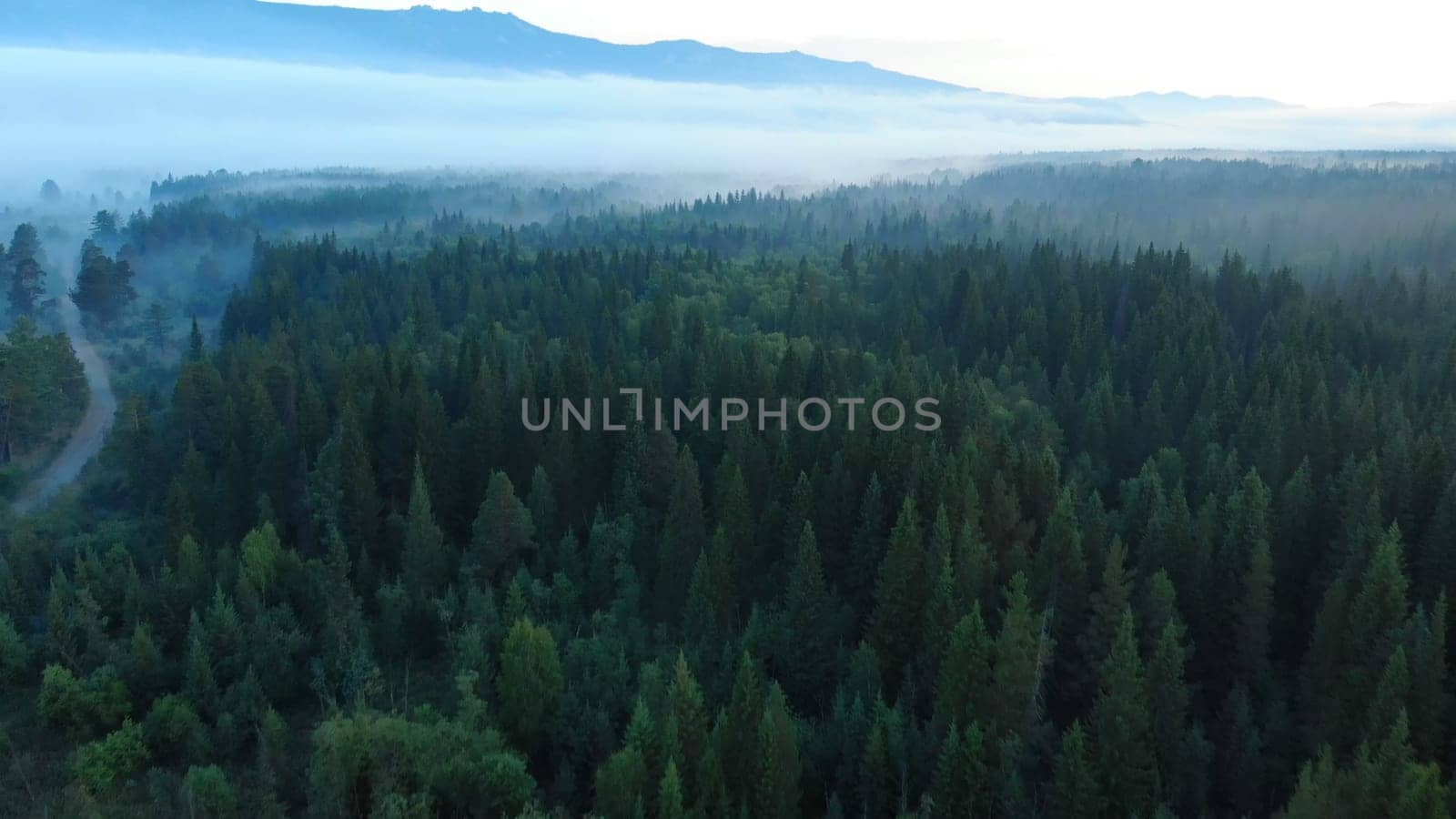 Forests and mountains of the Southern Urals near the village of Tyulyuk in Russia. Drone view