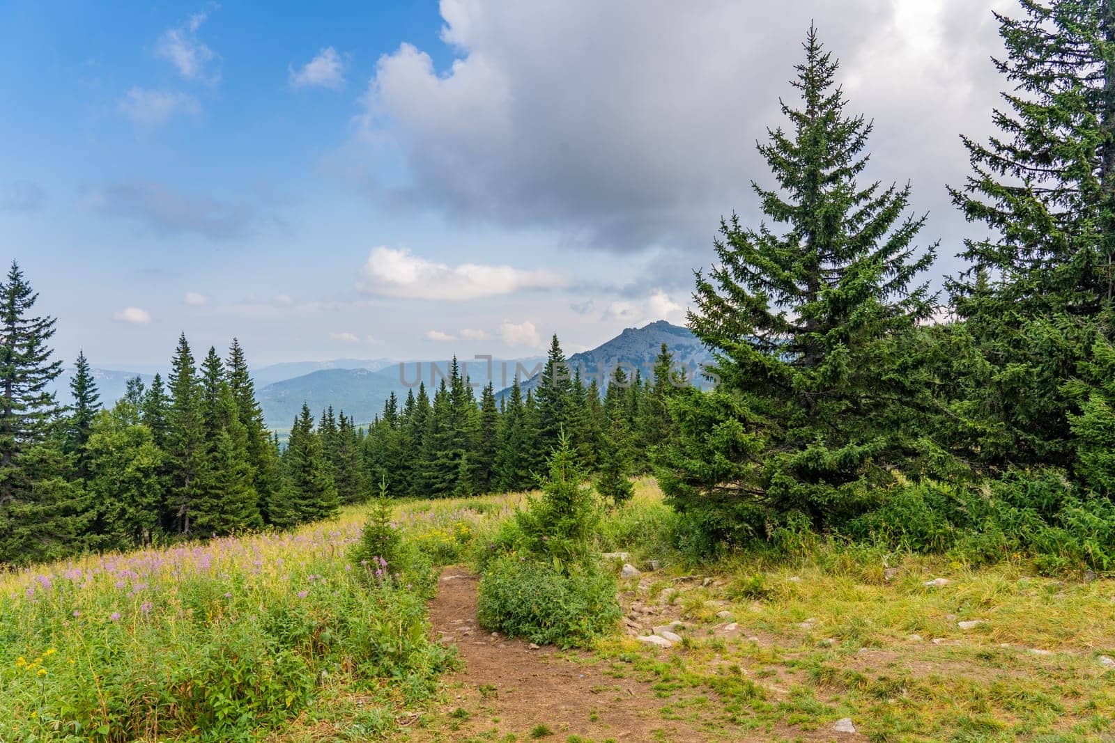 Beautiful nature at the top of Mount Jeremel in the South Urals, Russia. by DovidPro