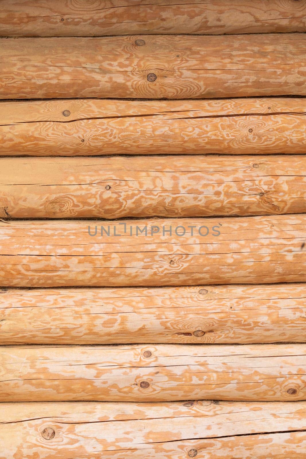 House wall in the village. Russian masonry of logs in the southern Urals. by DovidPro