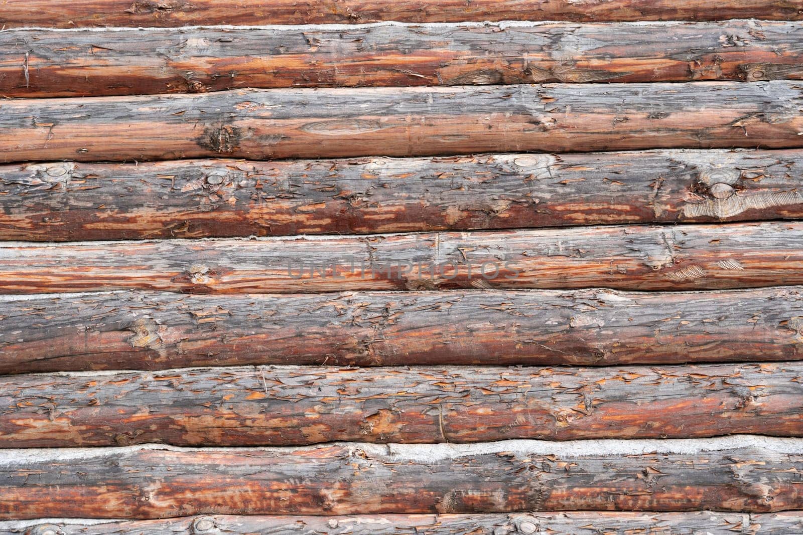 House wall in the village. Russian masonry of logs in the southern Urals. by DovidPro