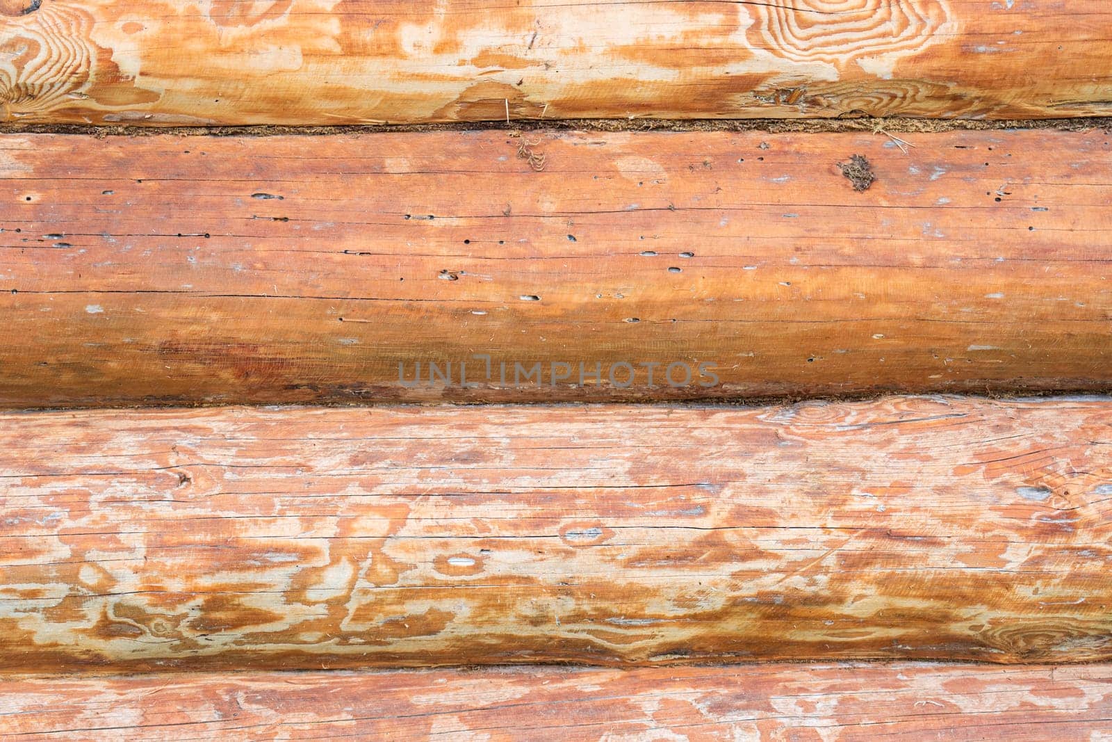 House wall in the village. Russian masonry of logs in the southern Urals. by DovidPro