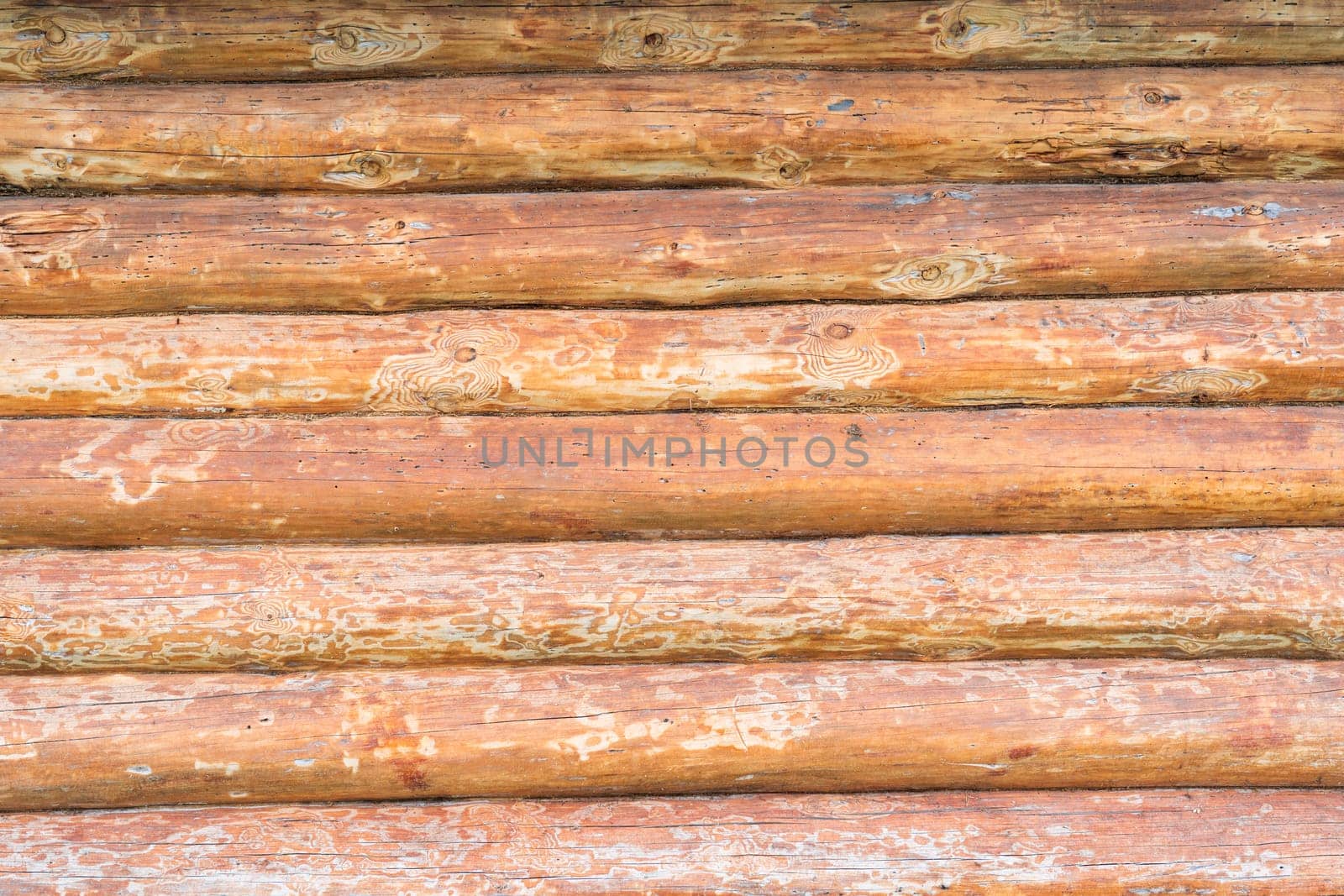 House wall in the village. Russian masonry of logs in the southern Urals. by DovidPro