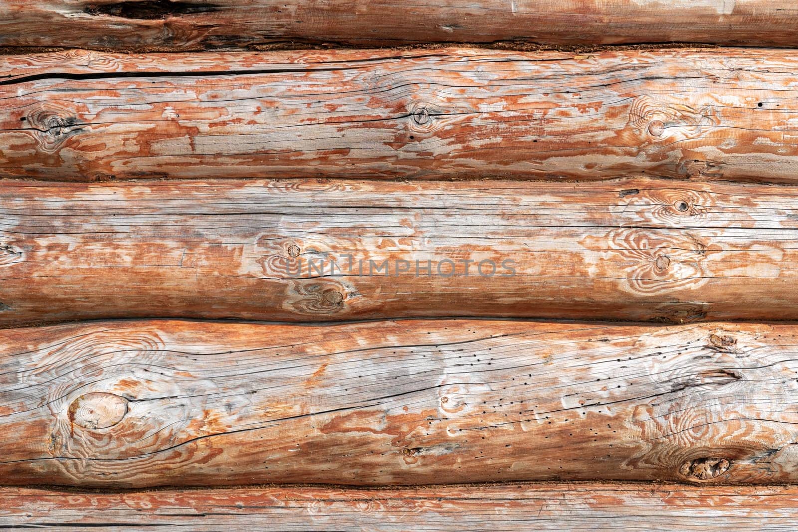 House wall in the village. Russian masonry of logs in the southern Urals