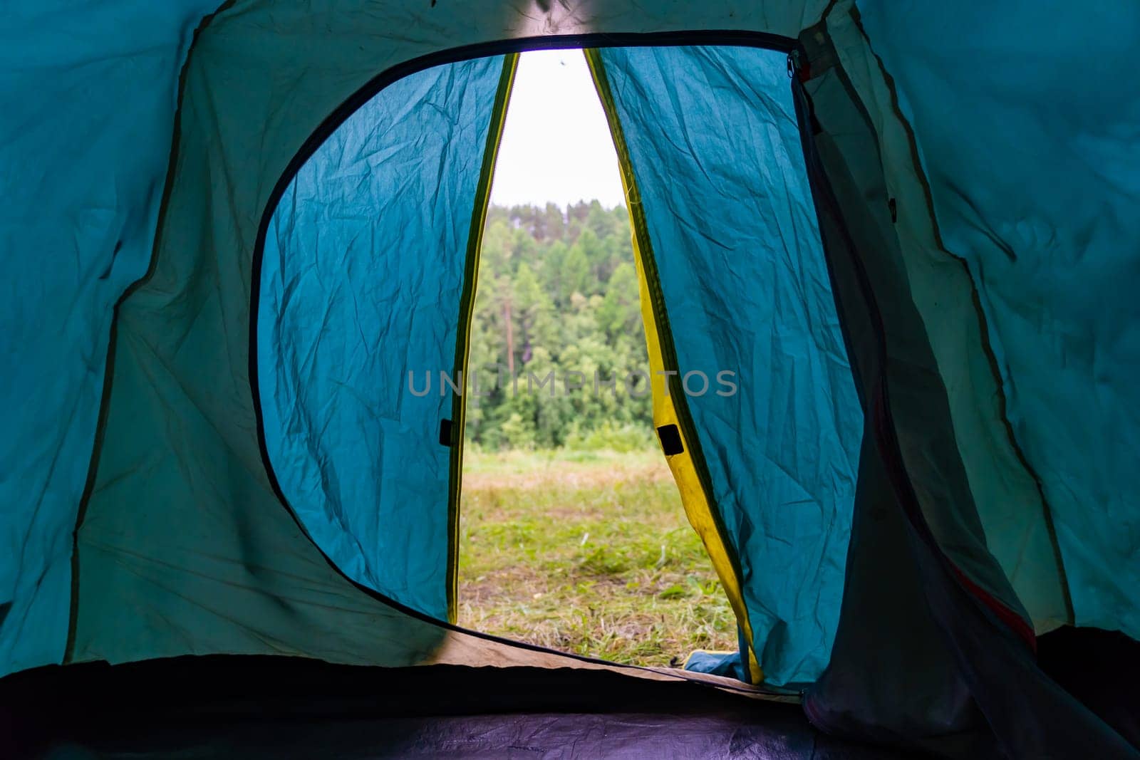 View from the tent to the forest. The concept of outdoor recreation. by DovidPro